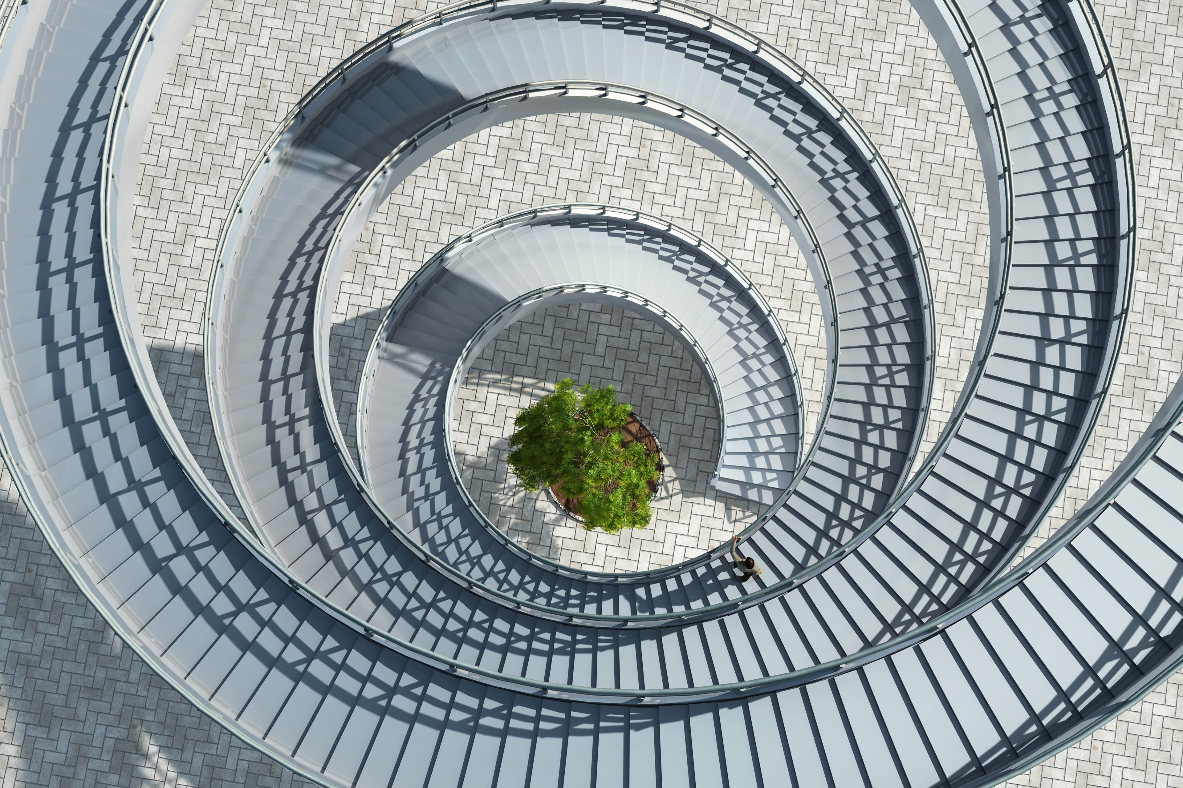 Aerial view of a spiral staircase with a tree in the middle