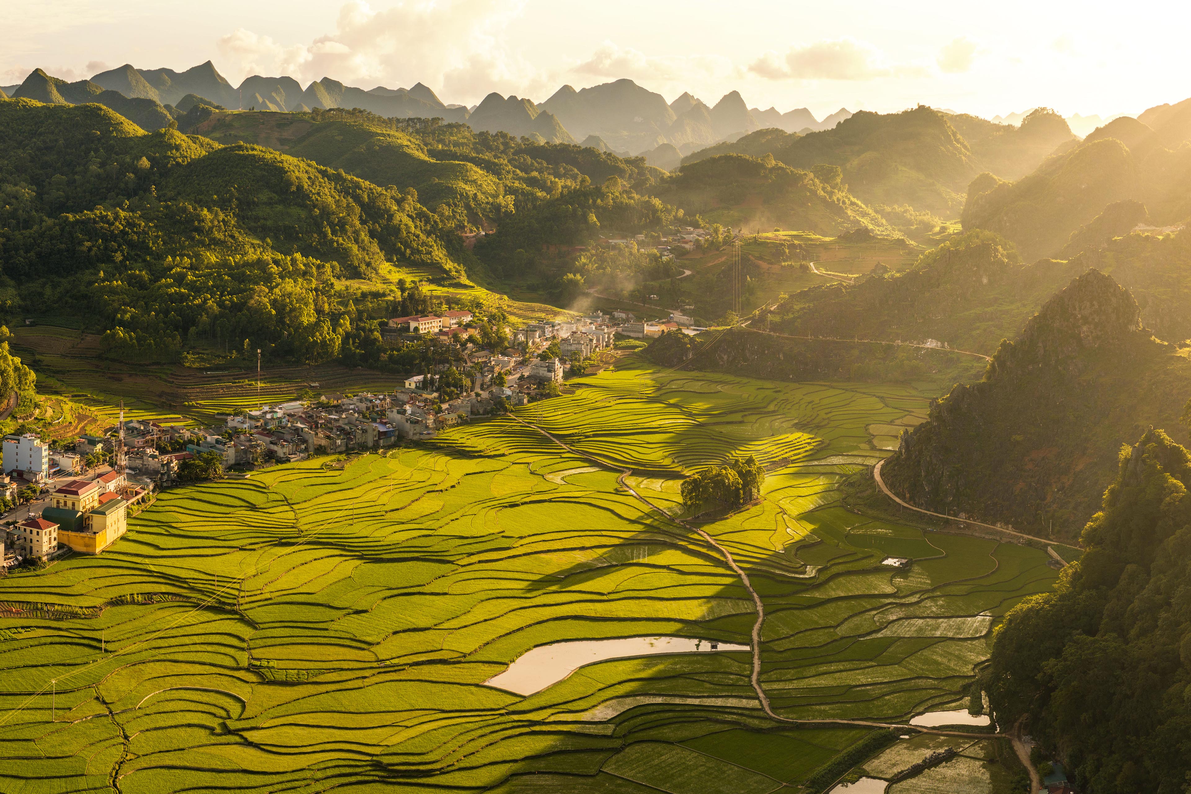 View over the terraced fields in vietnam