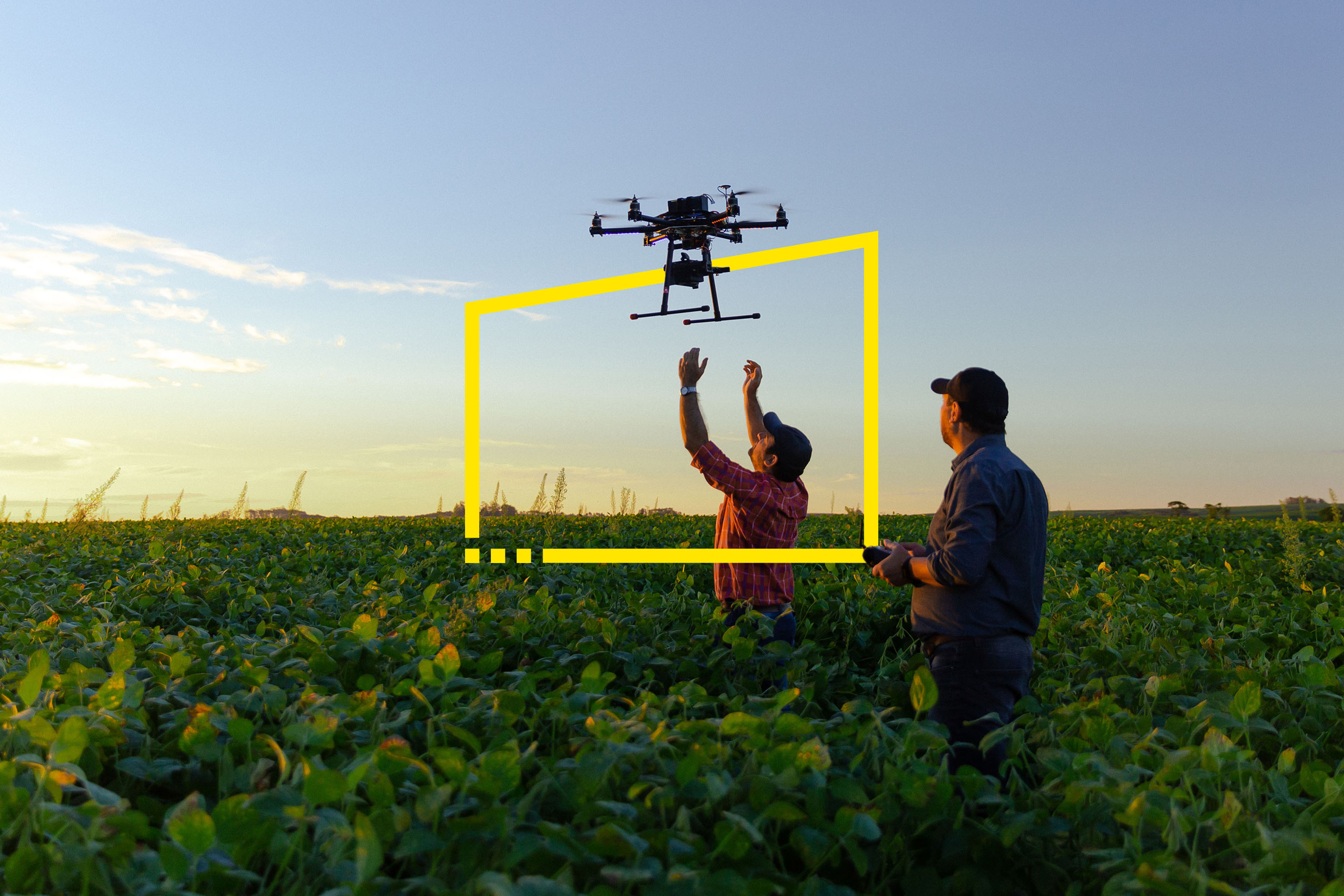  Farmers use a drone to check their crop in a field