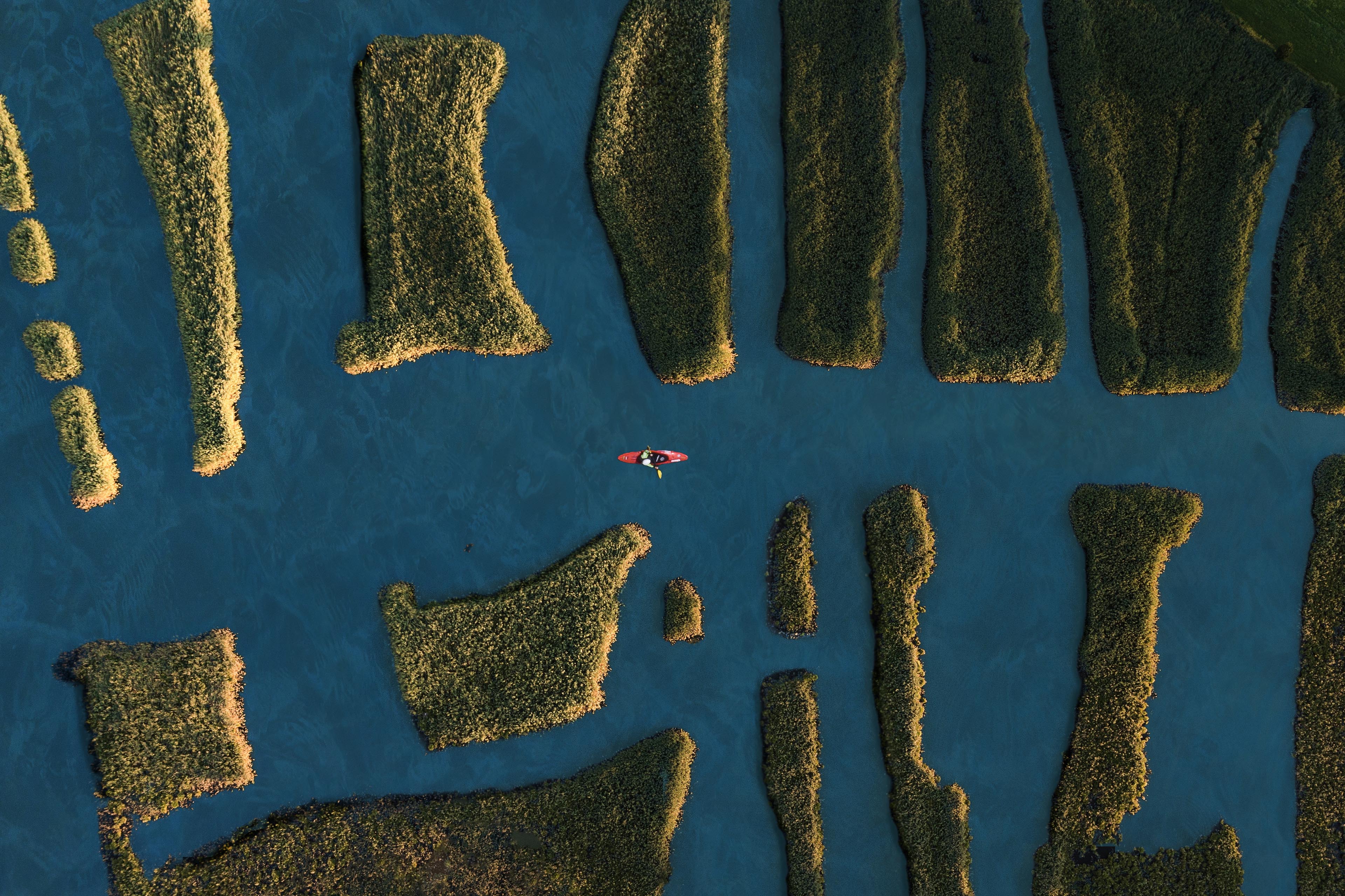 aerial shot of kayak navigating between grassy patches of lan