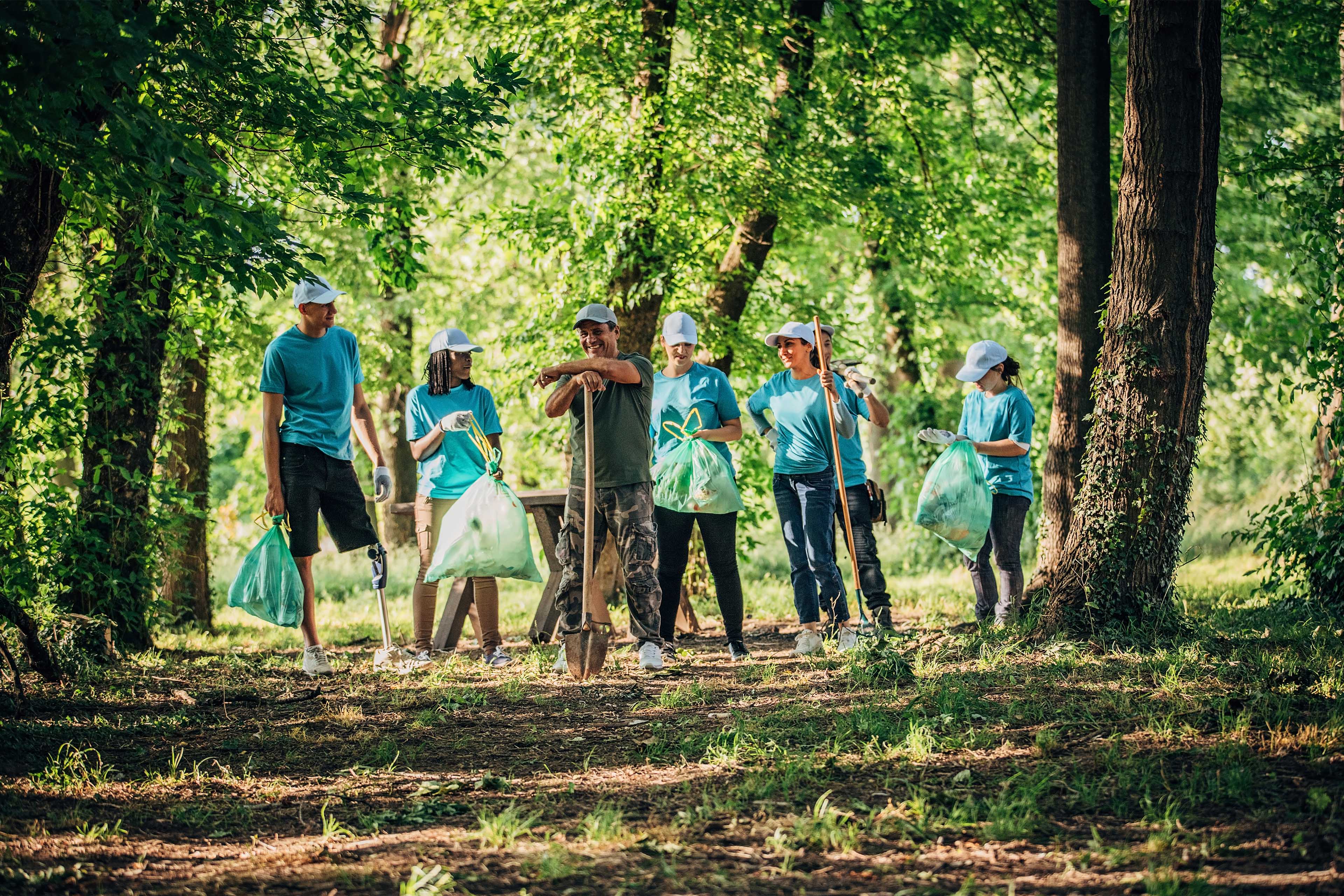 Small group of young volunteers in the forest