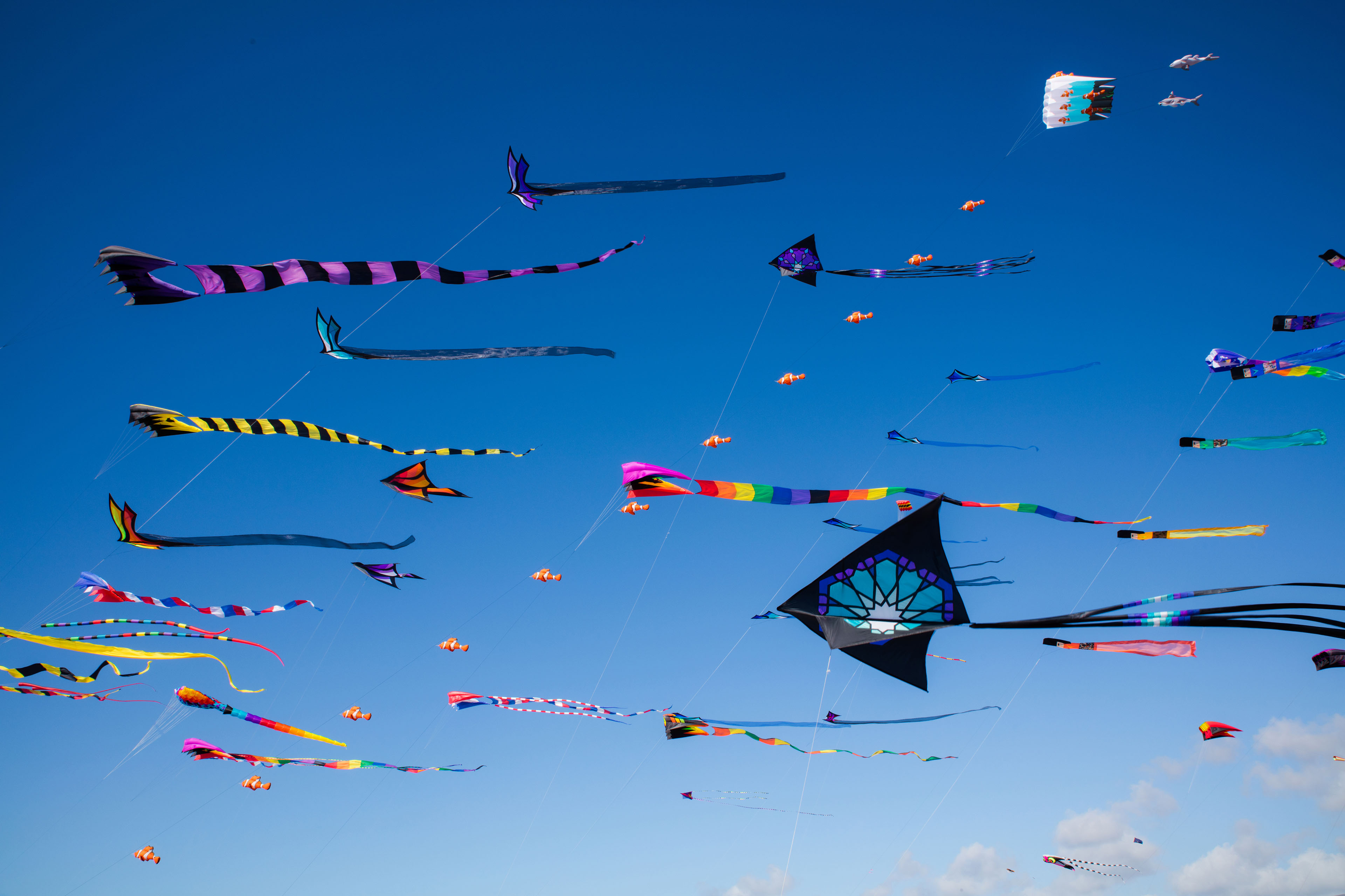 Kites at Long Beach Kite Festival California, North America.