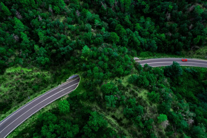 EY aerial view of green bridge corridor for wildlife to cross highway safely