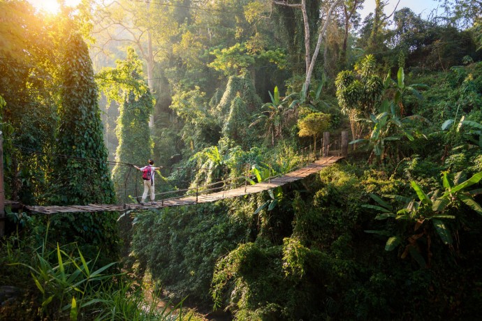 A tourist walking on a suspension bridge over forest