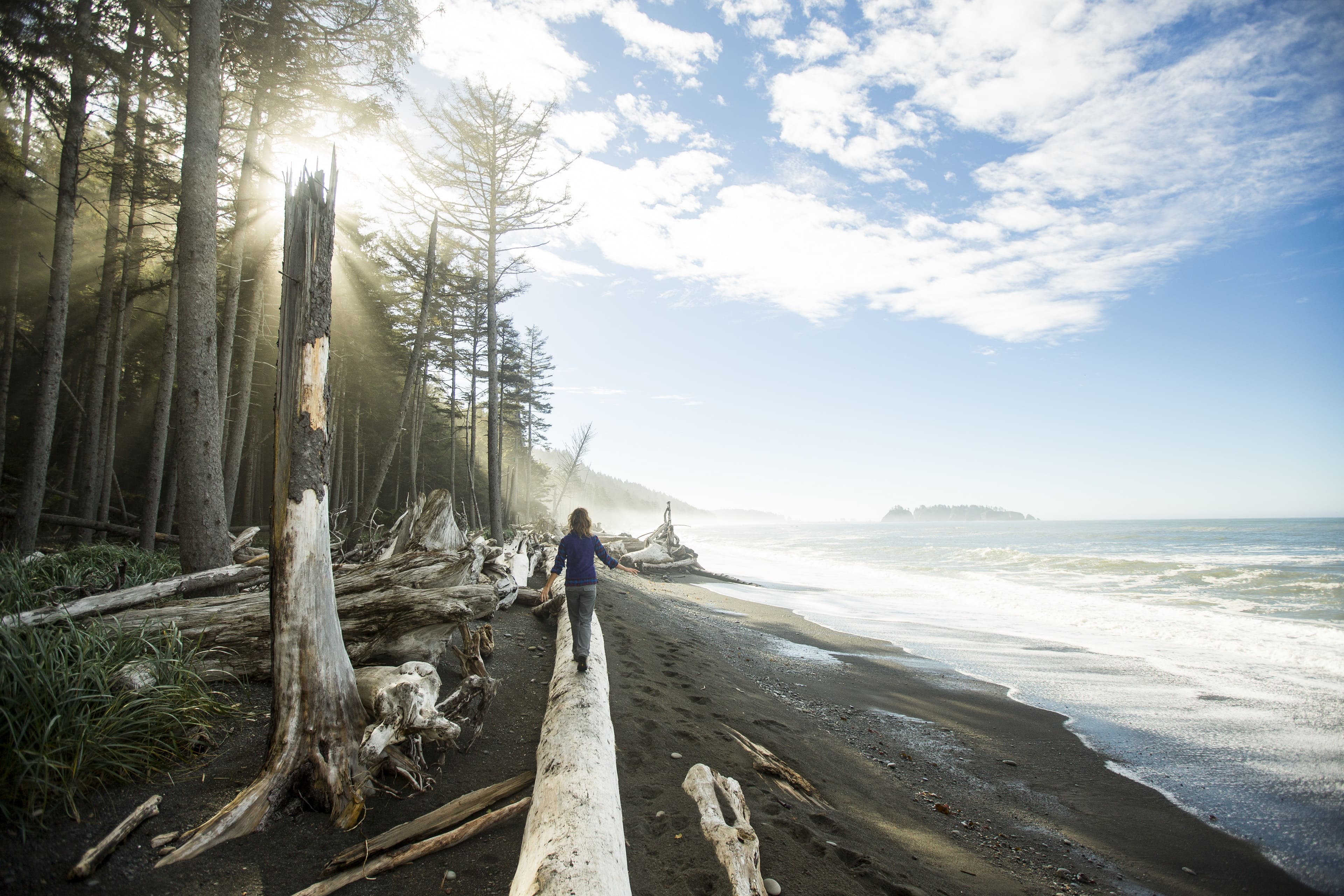 A person in a blue jacket walks on a sandy beach with driftwood, sunlight breaking through clouds overhead