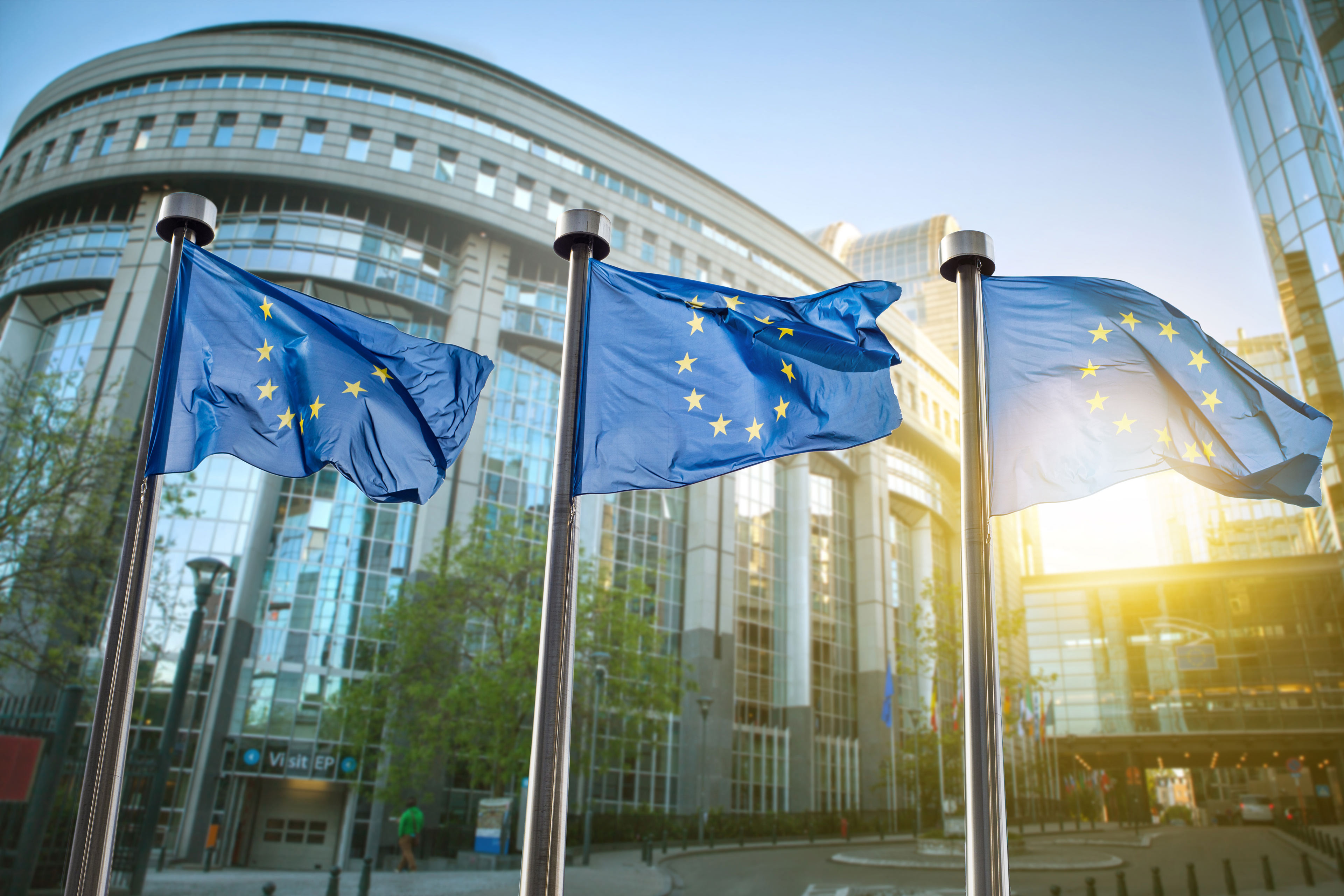  European union flags