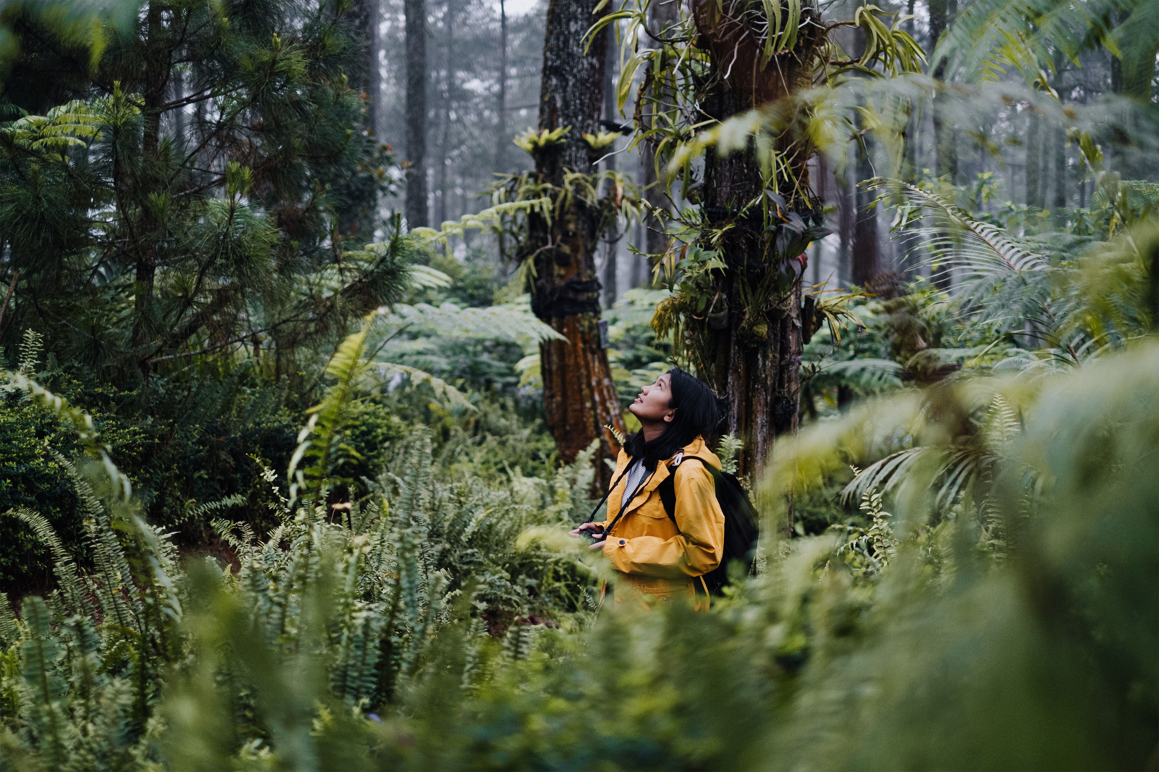 ey-scaling-up-investment-into-nature-related-projects-in-new-zealand