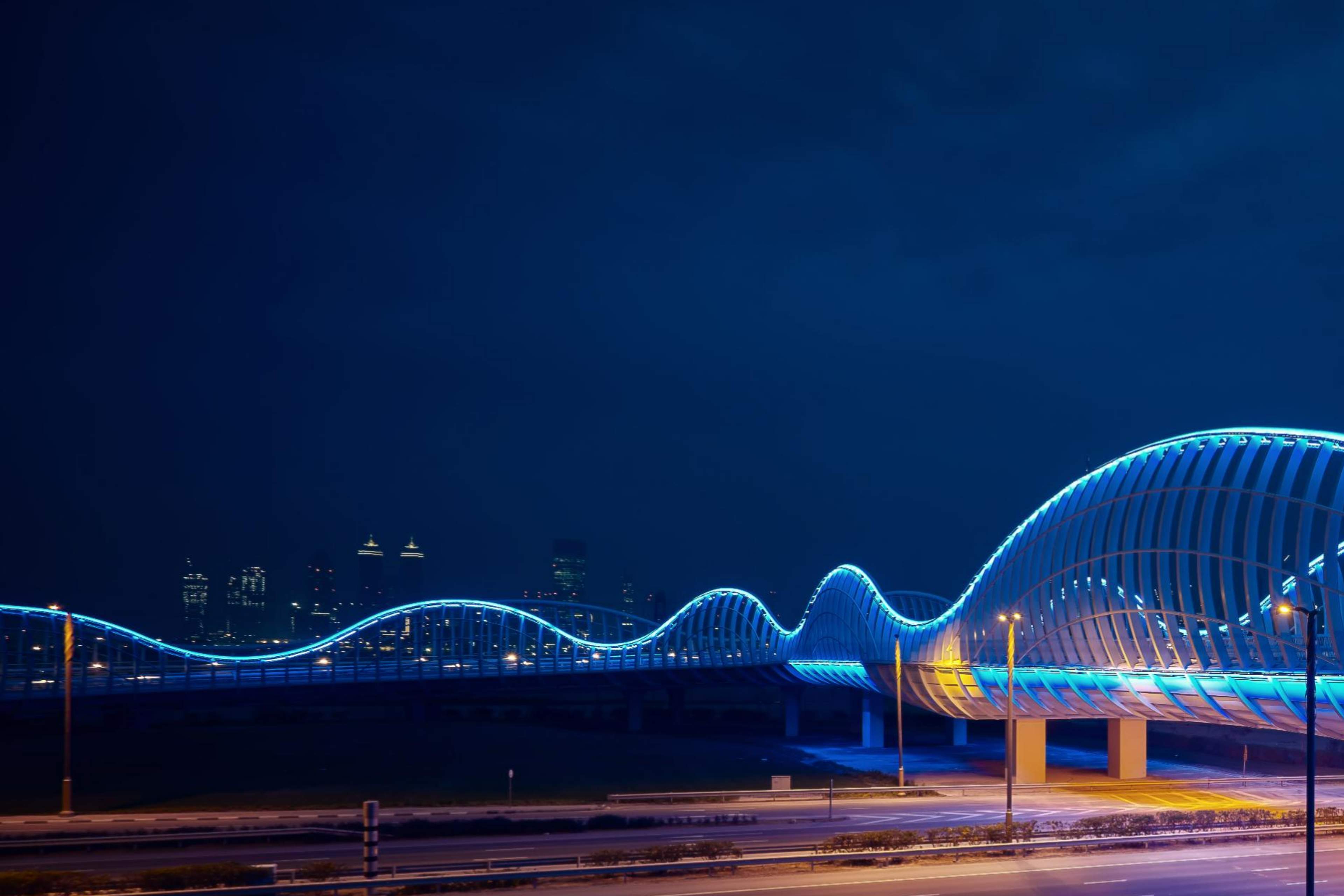 Night view of the bridge with lights