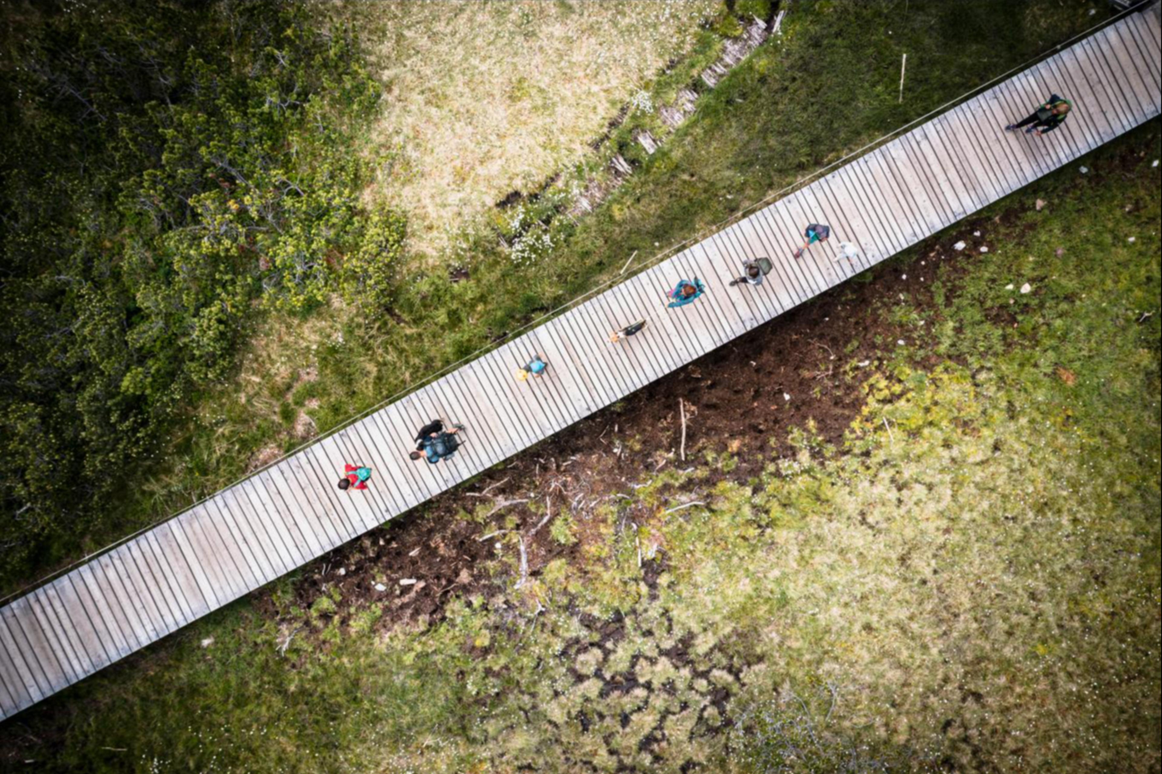 Hikers walking on a footpath