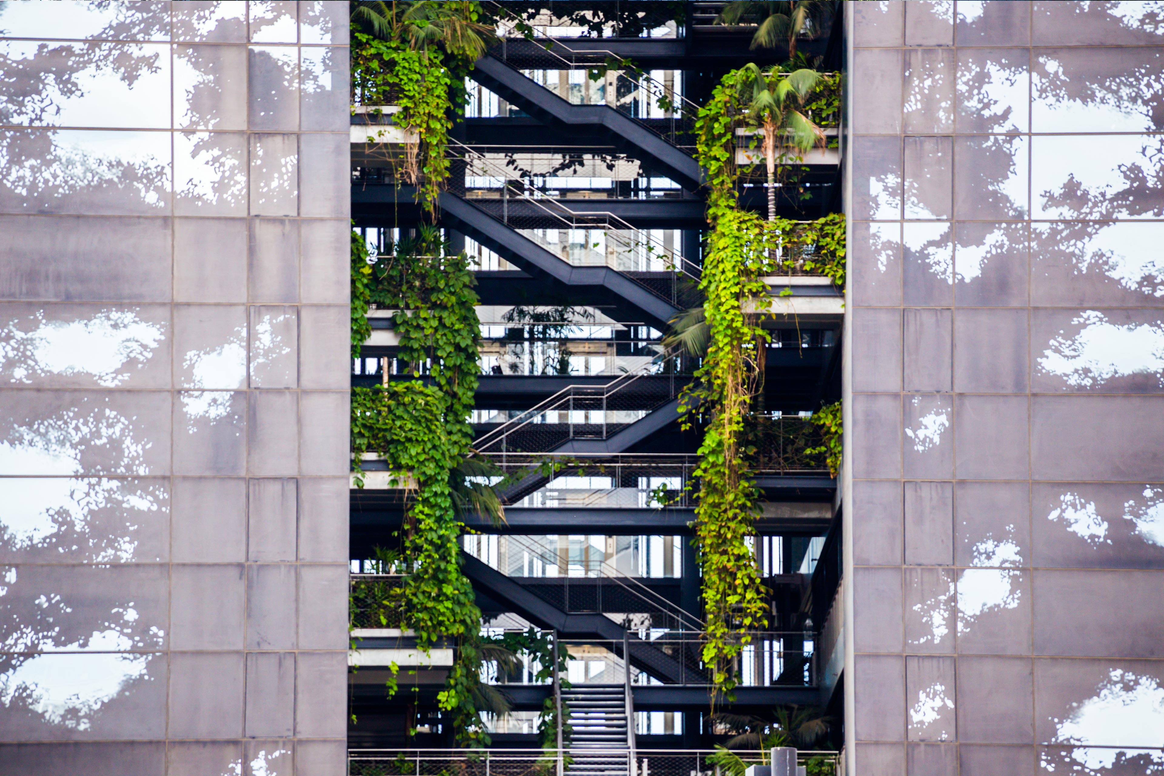 Building with vegetation growing inside