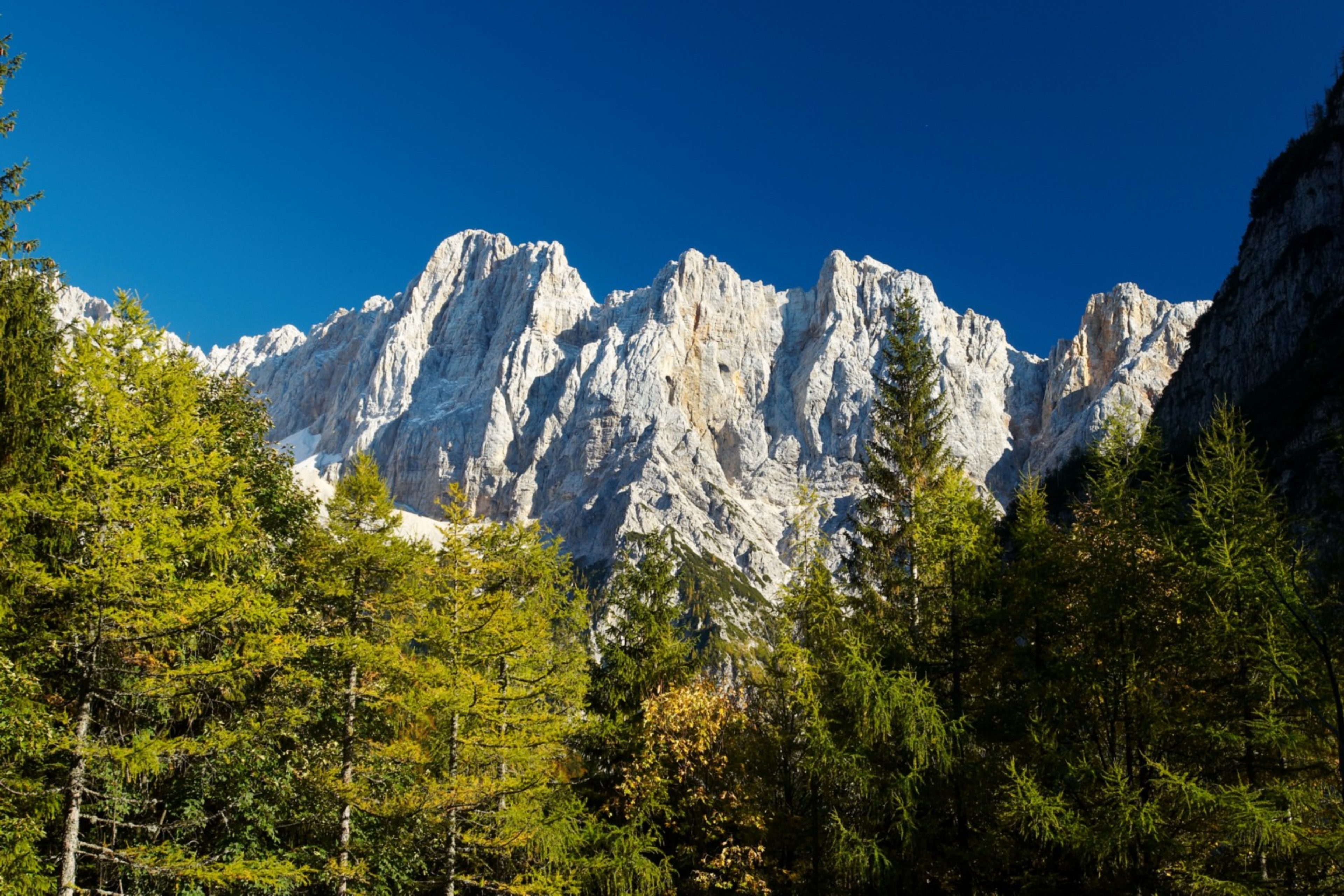 Družinsko podjetništvo Slovenija 2022