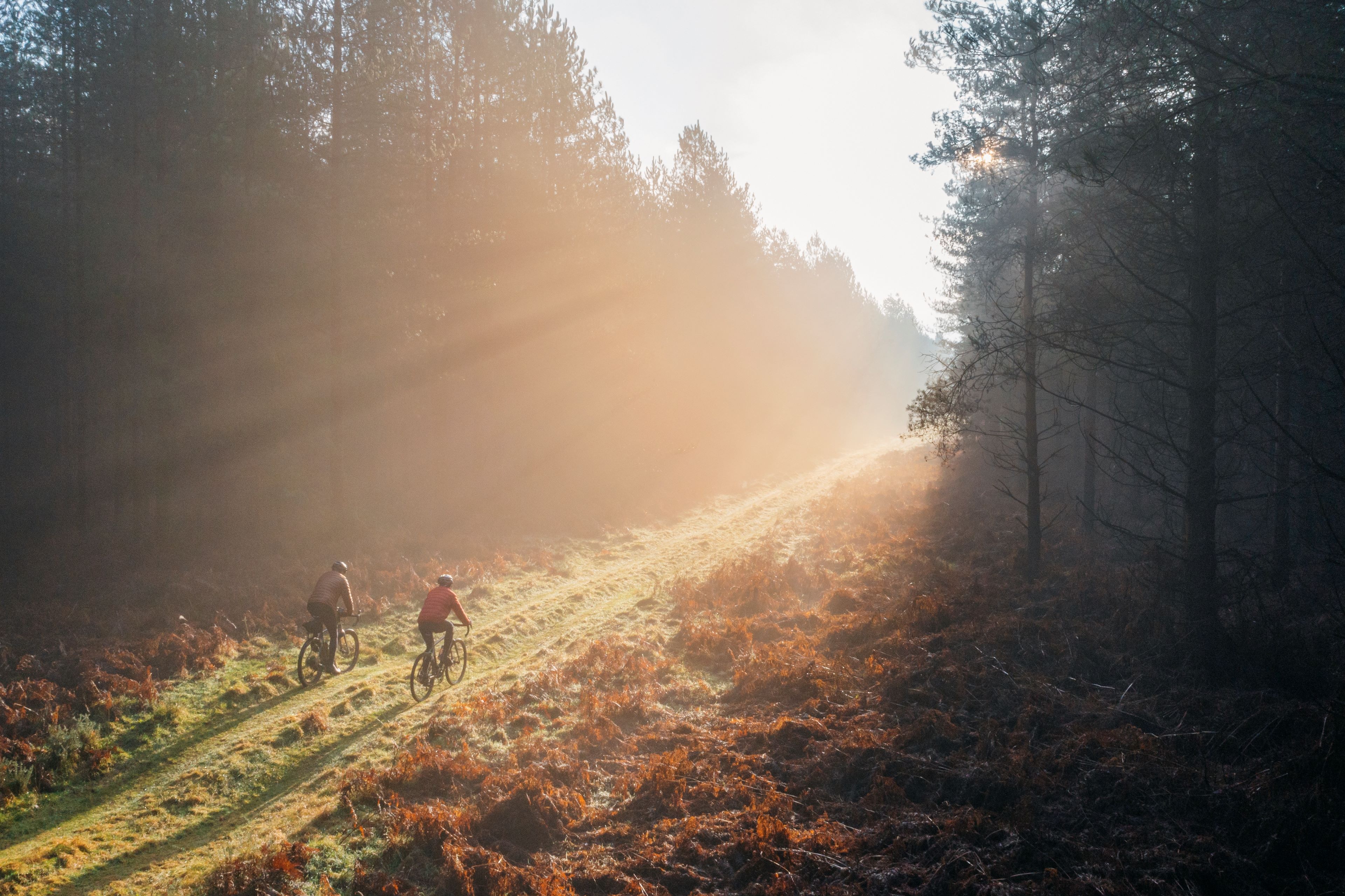 Photo of two cyclists going through a forest