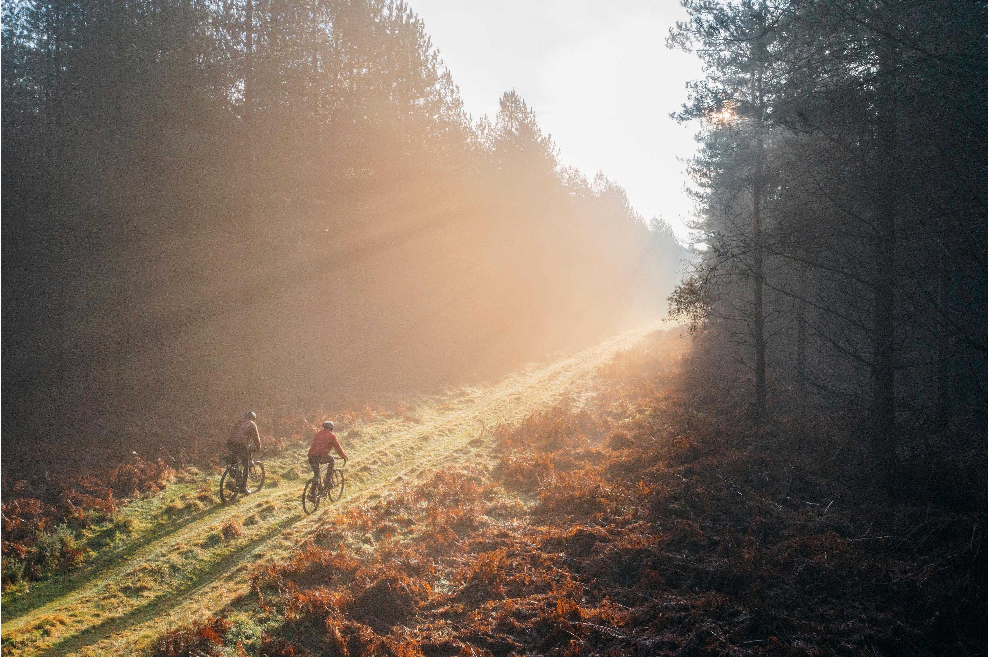 Two men cycling through the forest sunset