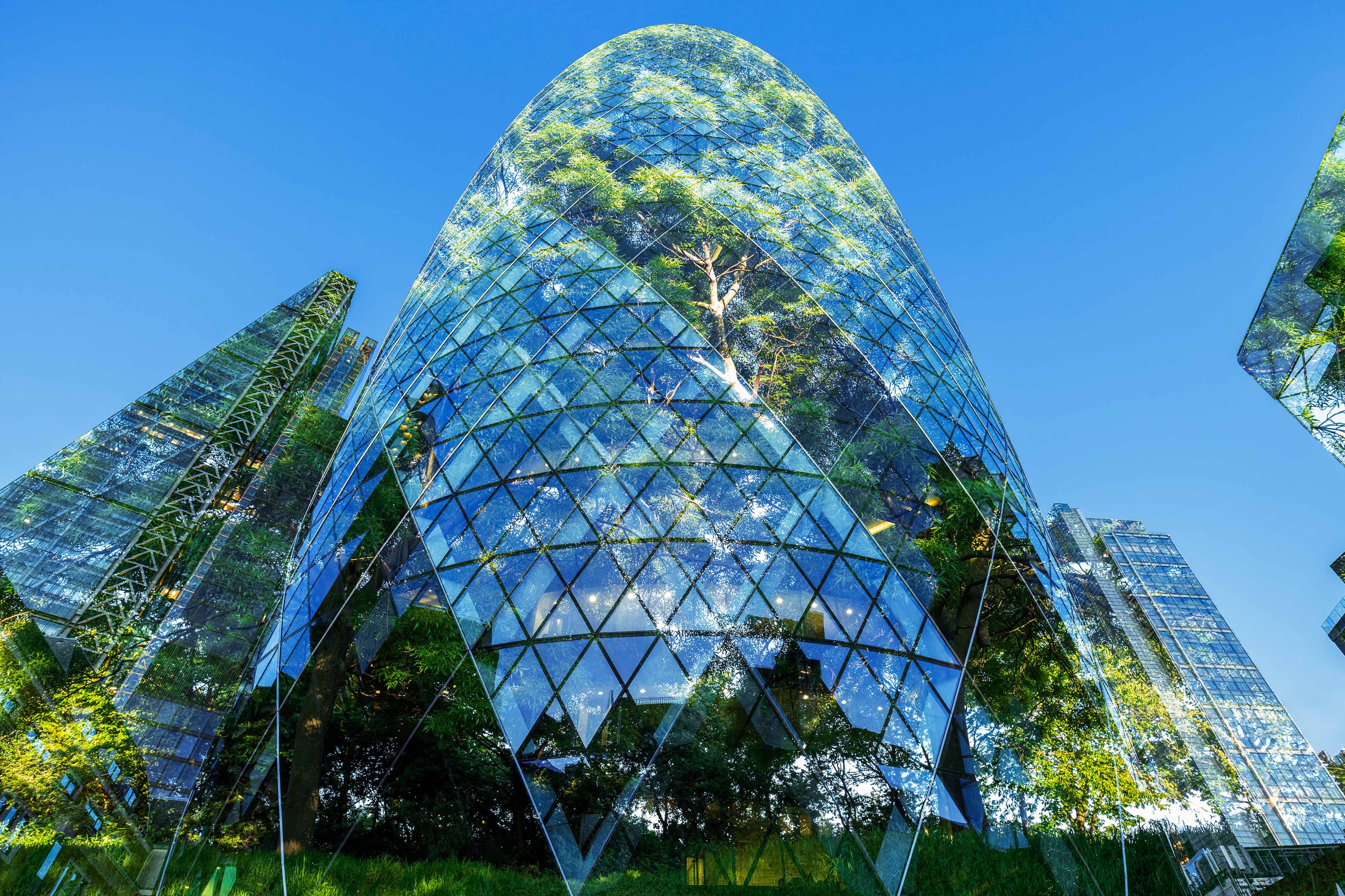 Abstract of city skyscrapers and trees