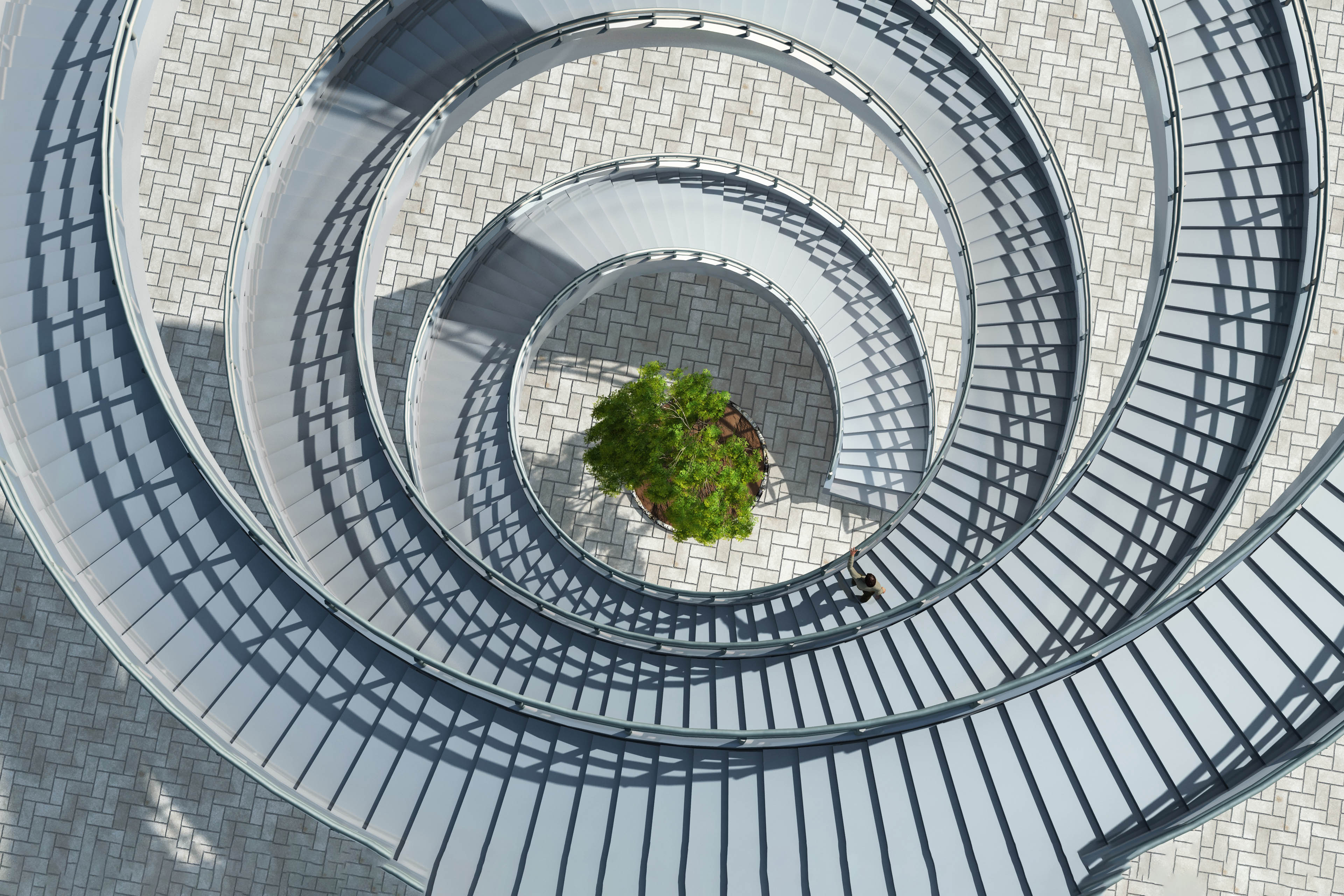 Aerial view of a spiral staircase with a tree in the middle