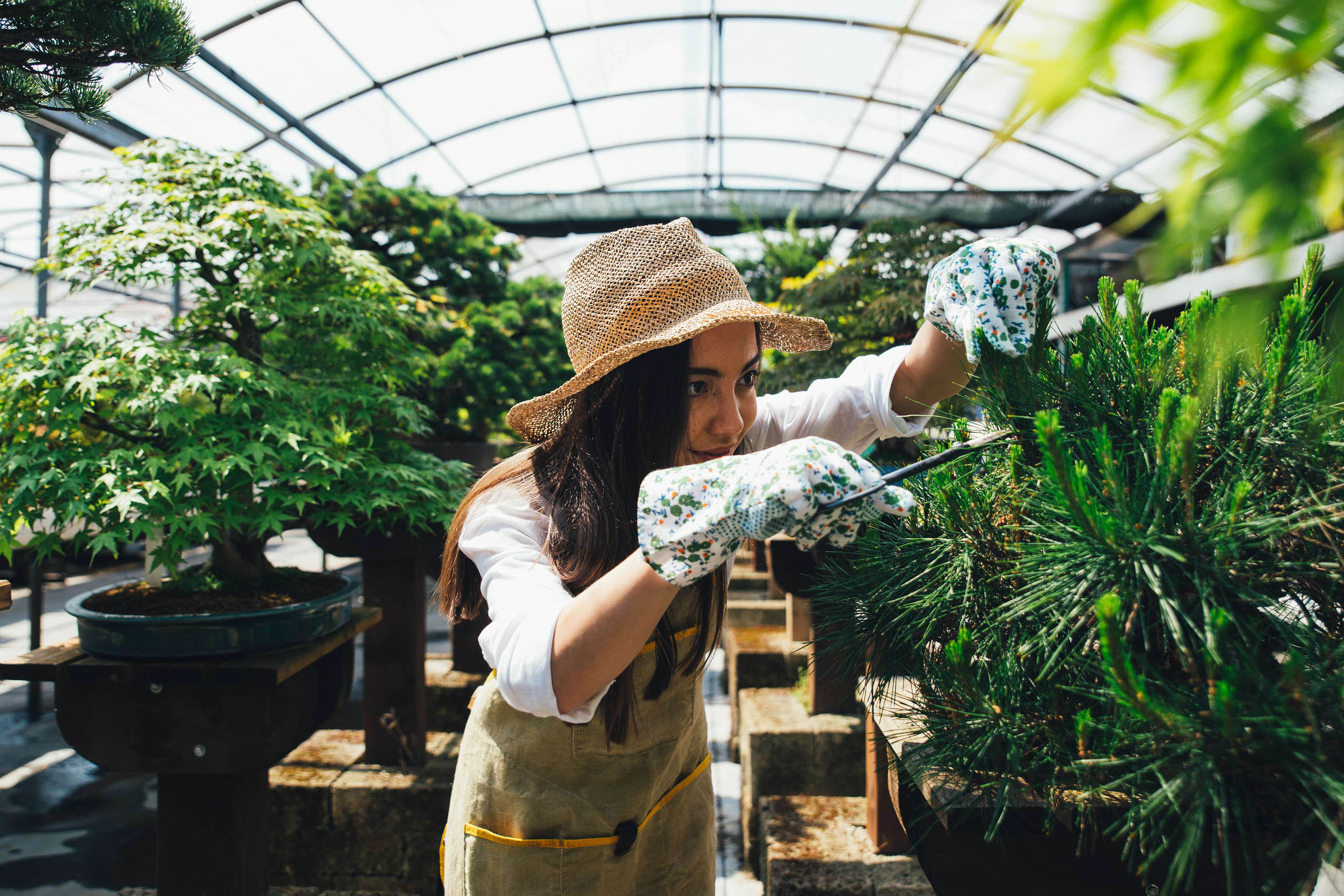 EY - Woman working in a greenhouse