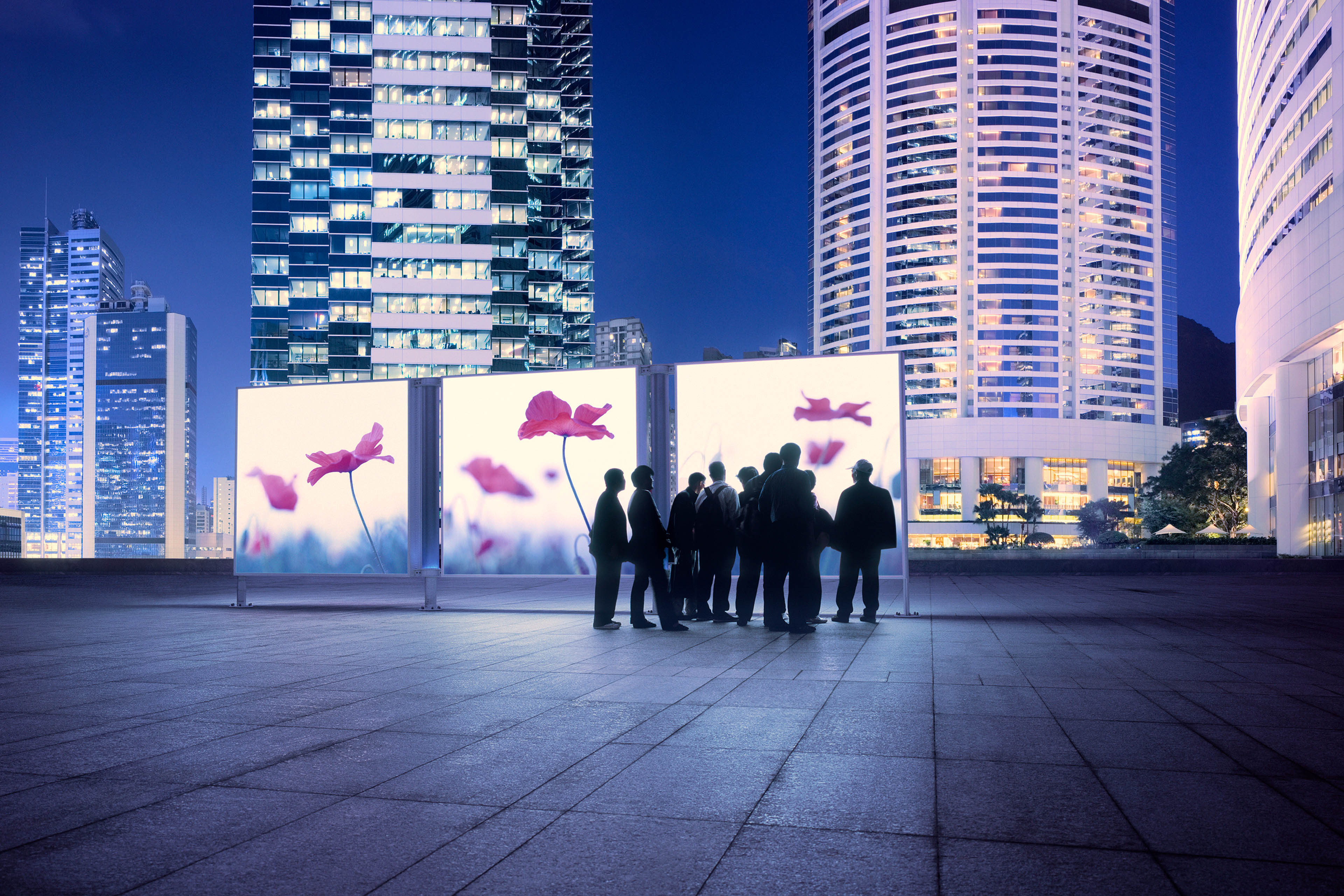 Hong Kong skyline with people looking at flower images