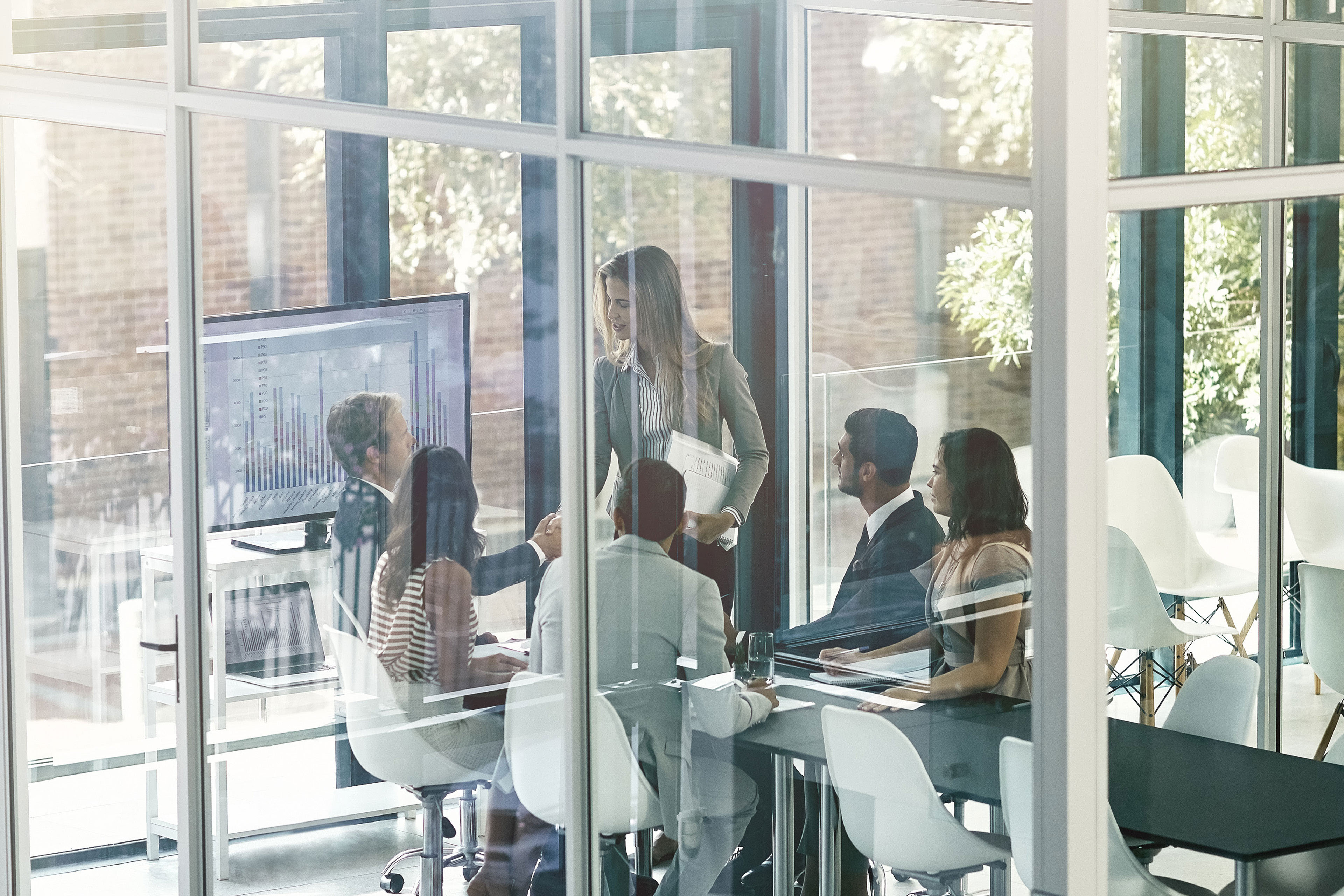 Executive introducing herself in boardroom