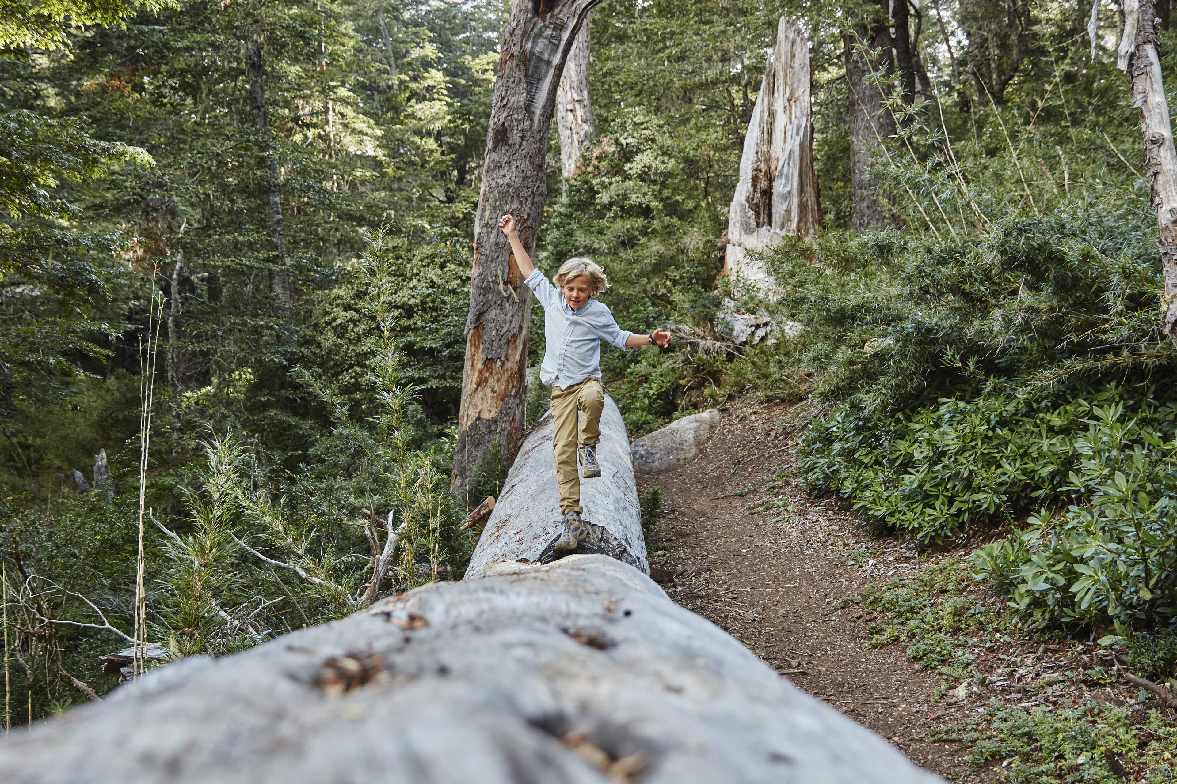 A Boy balancing on a tree trunk in forest