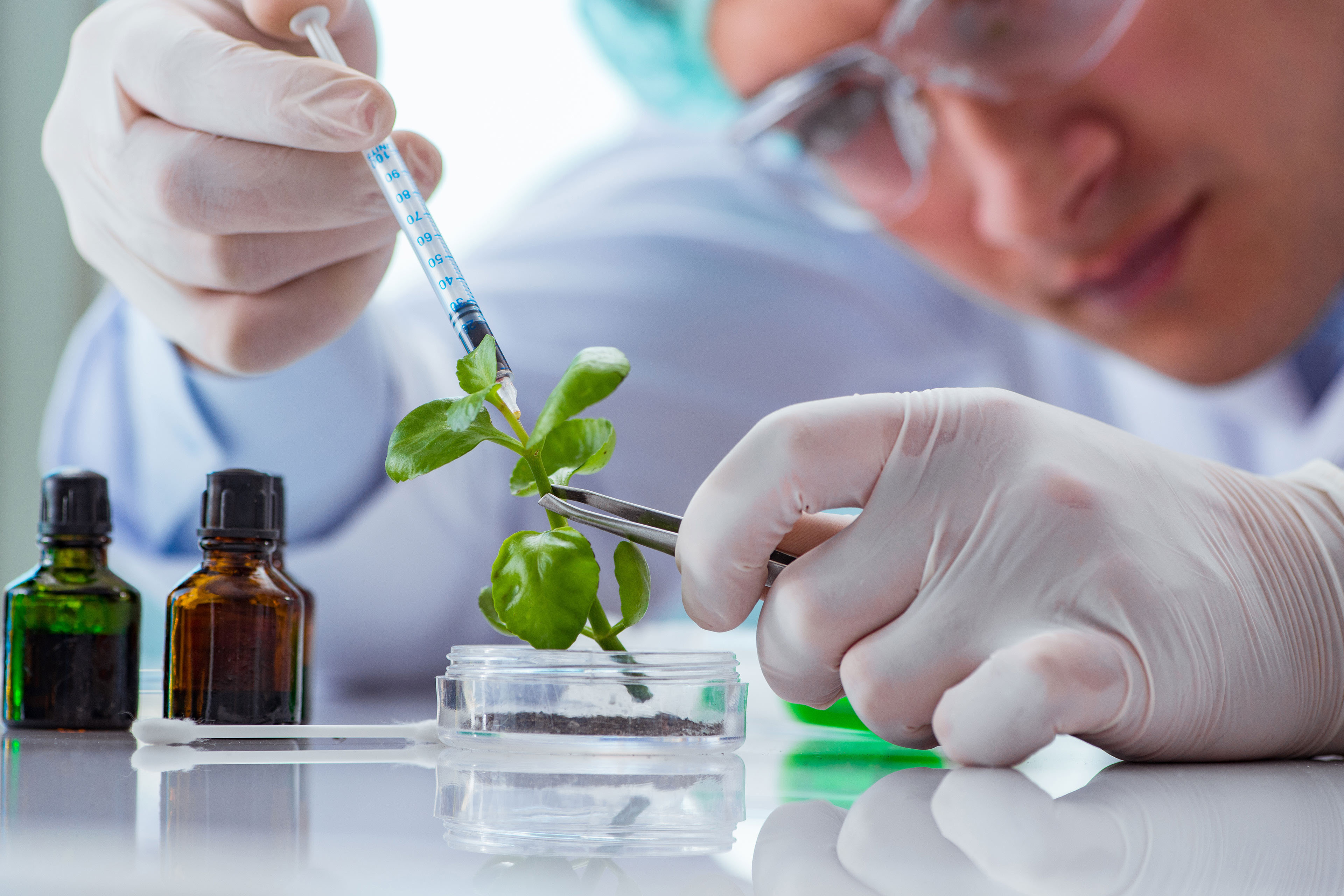 Biotechnology scientist working in the lab