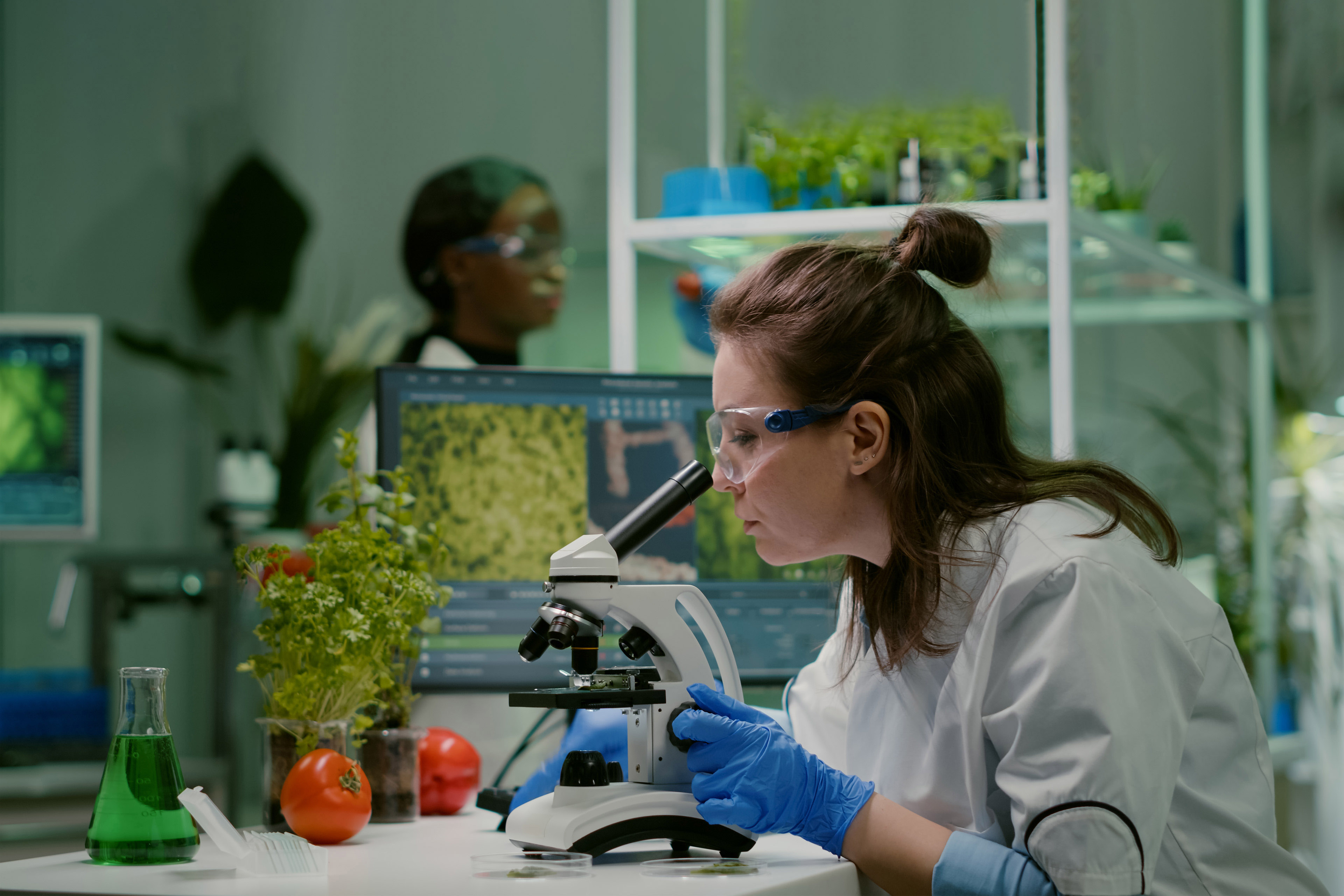 Scientist doctor analyzing botanical plants