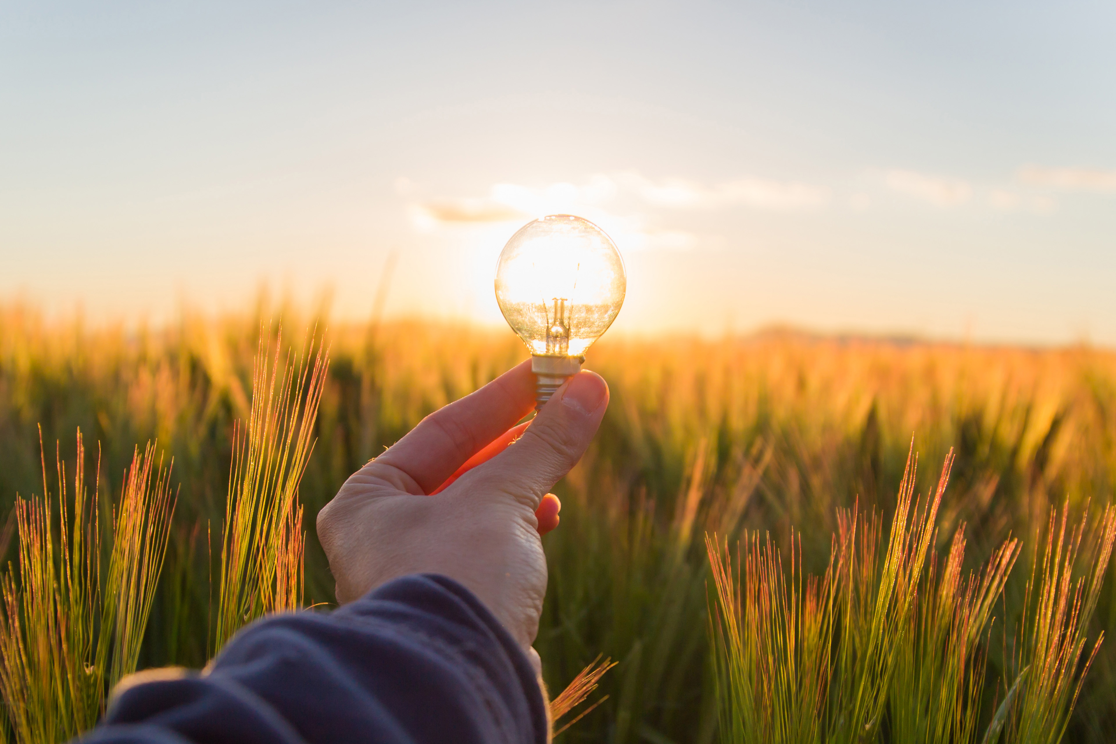 Hand holding light bulb to the sun