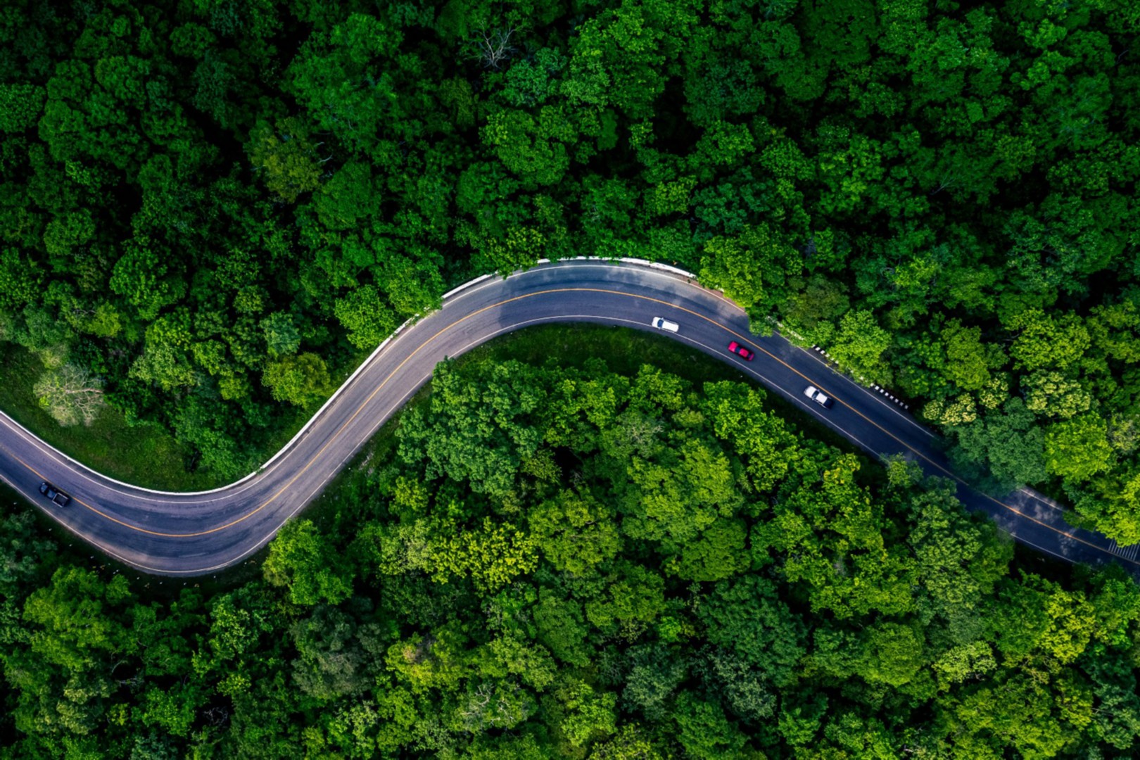 Forest road view from above