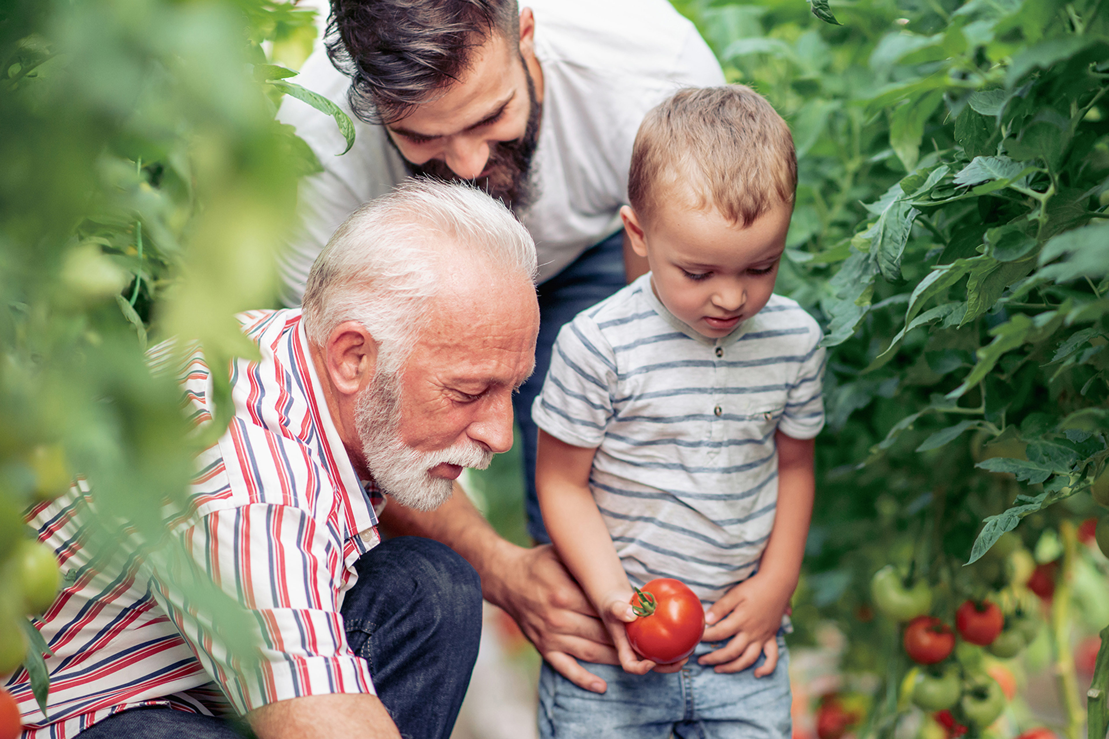 Family in the Farm