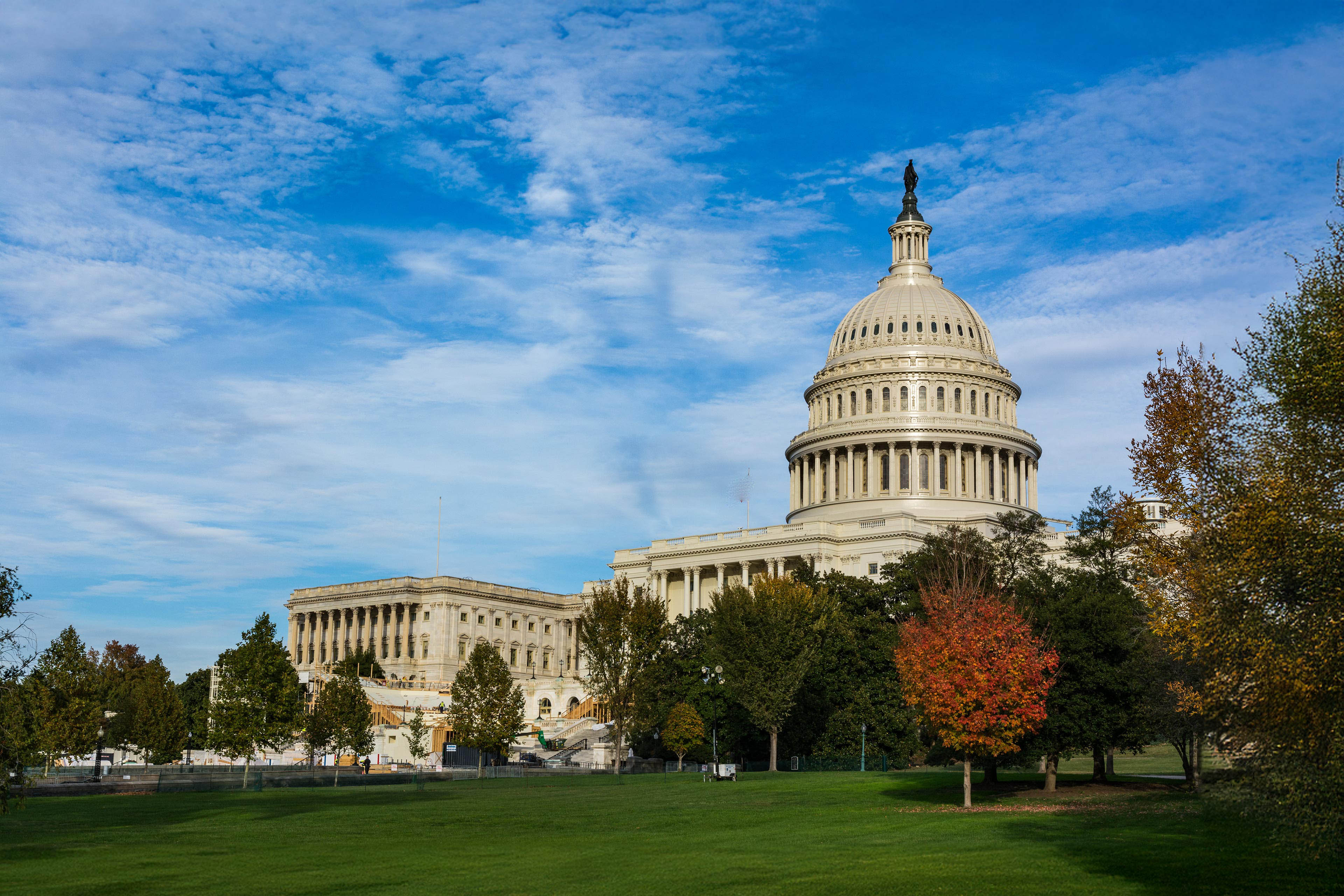 Daytime Landscape US Capitol Building Washington DC Grass Blue Sky