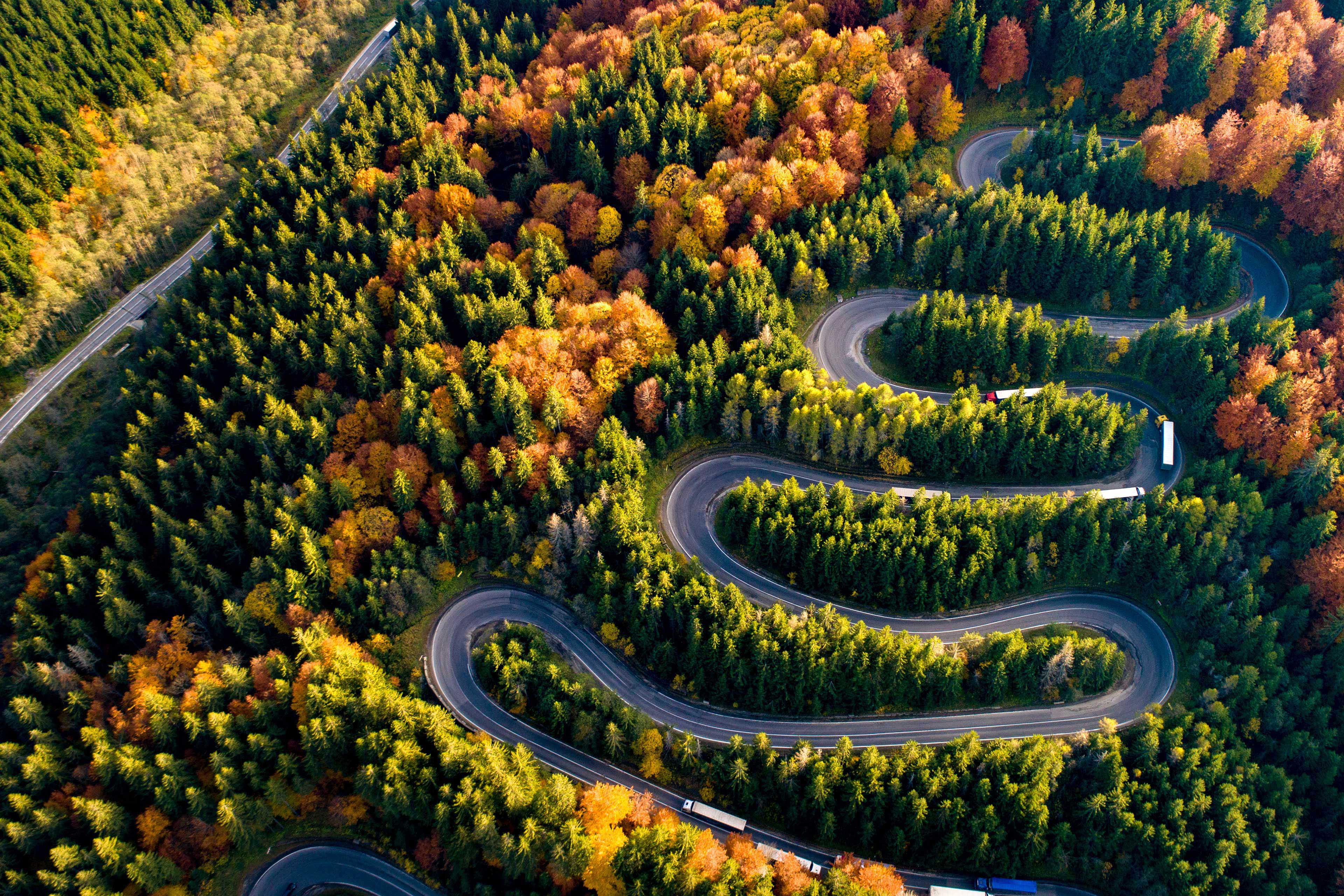 Aerial view of forest mountain