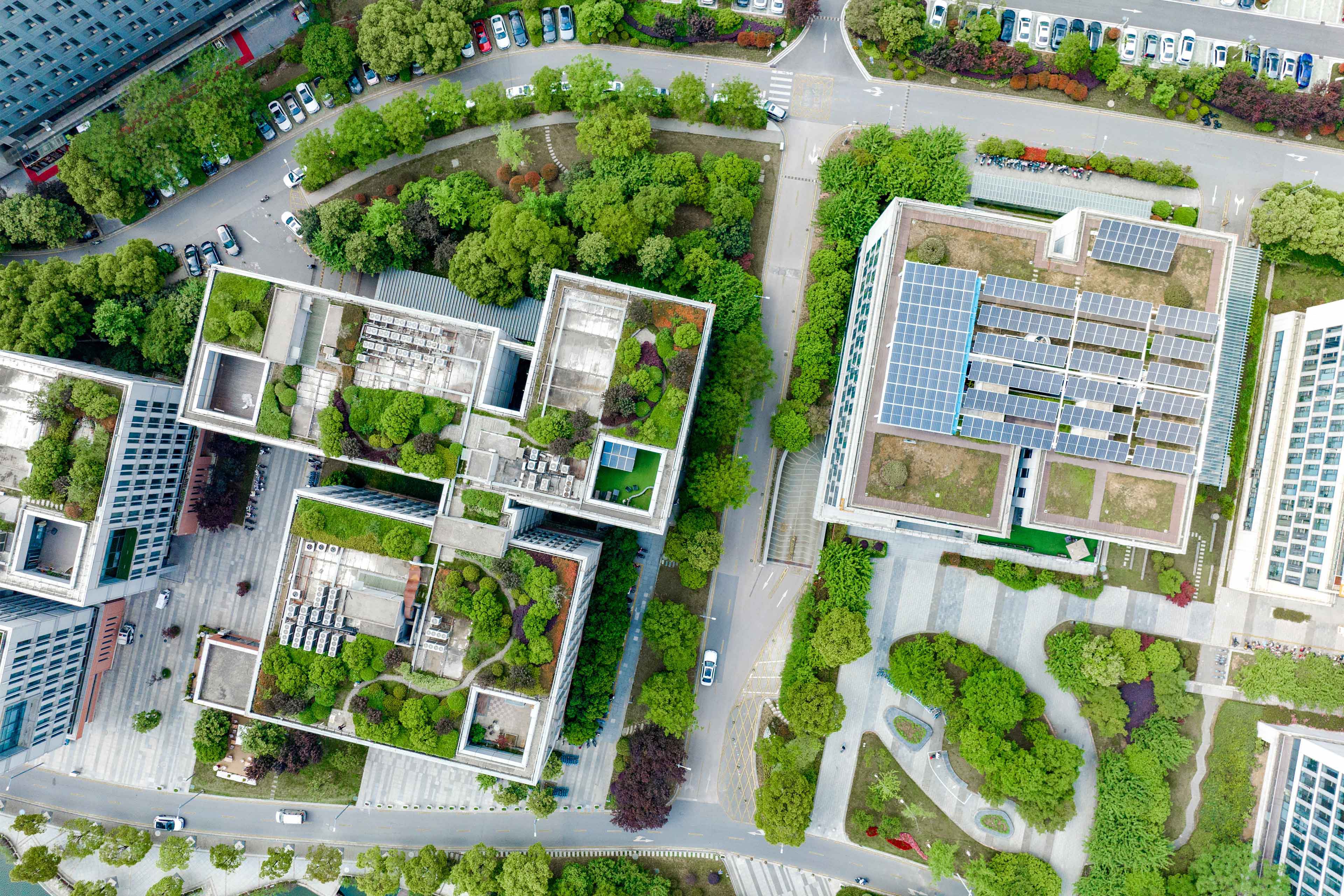 Multi-level building growing vegetation