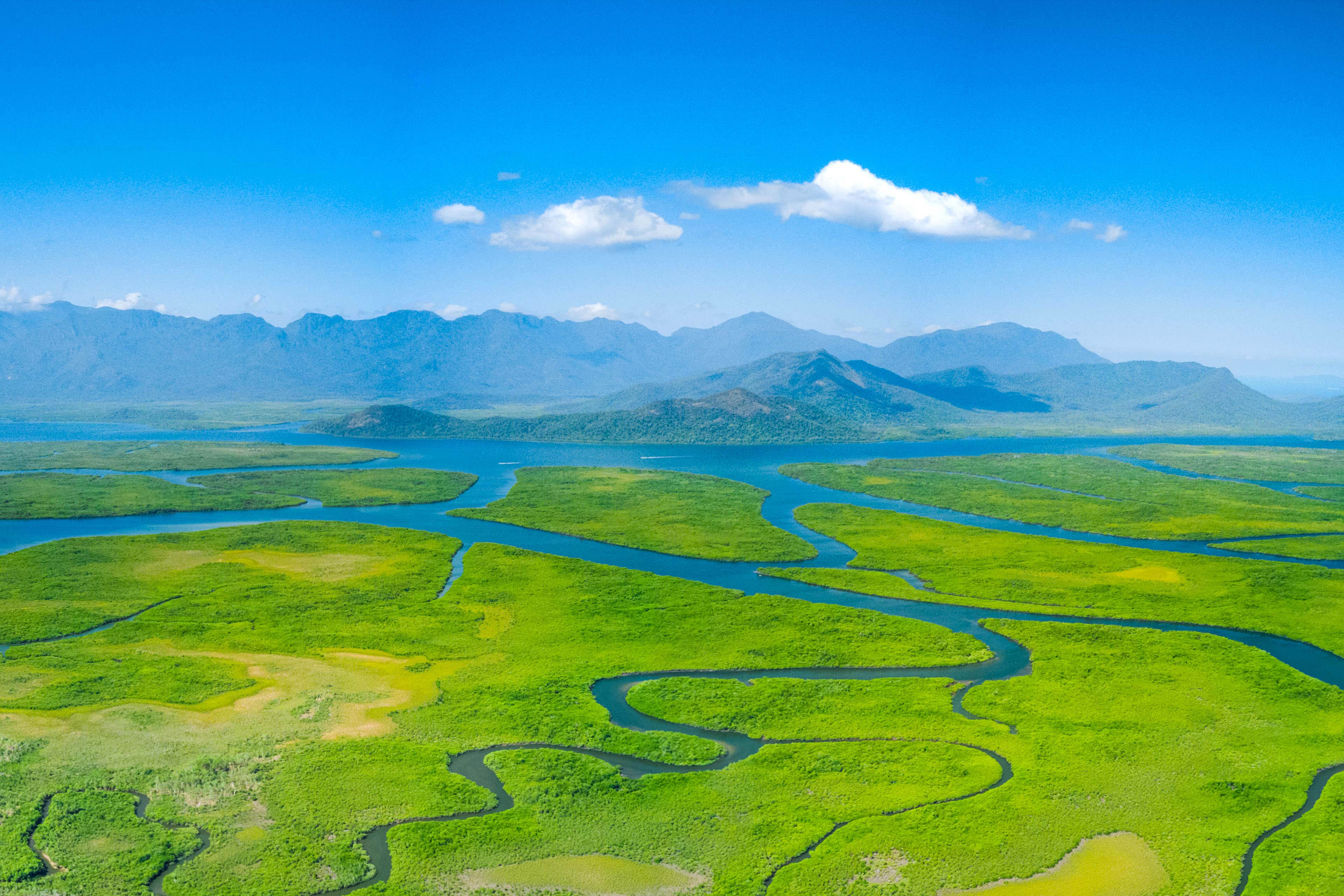 Meandering rivers and mangroves