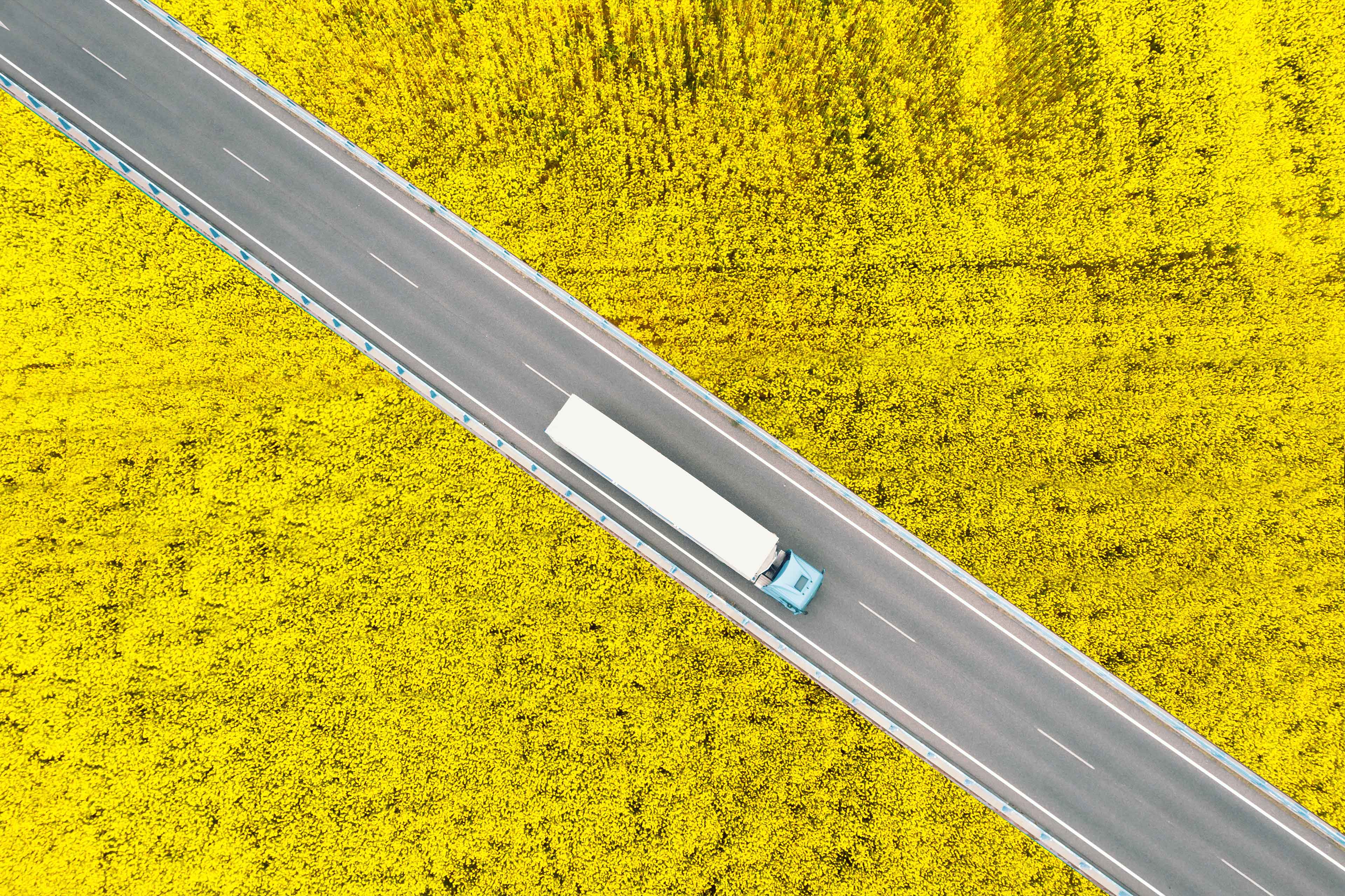 Ariel view of a truck on a road with paddy fields