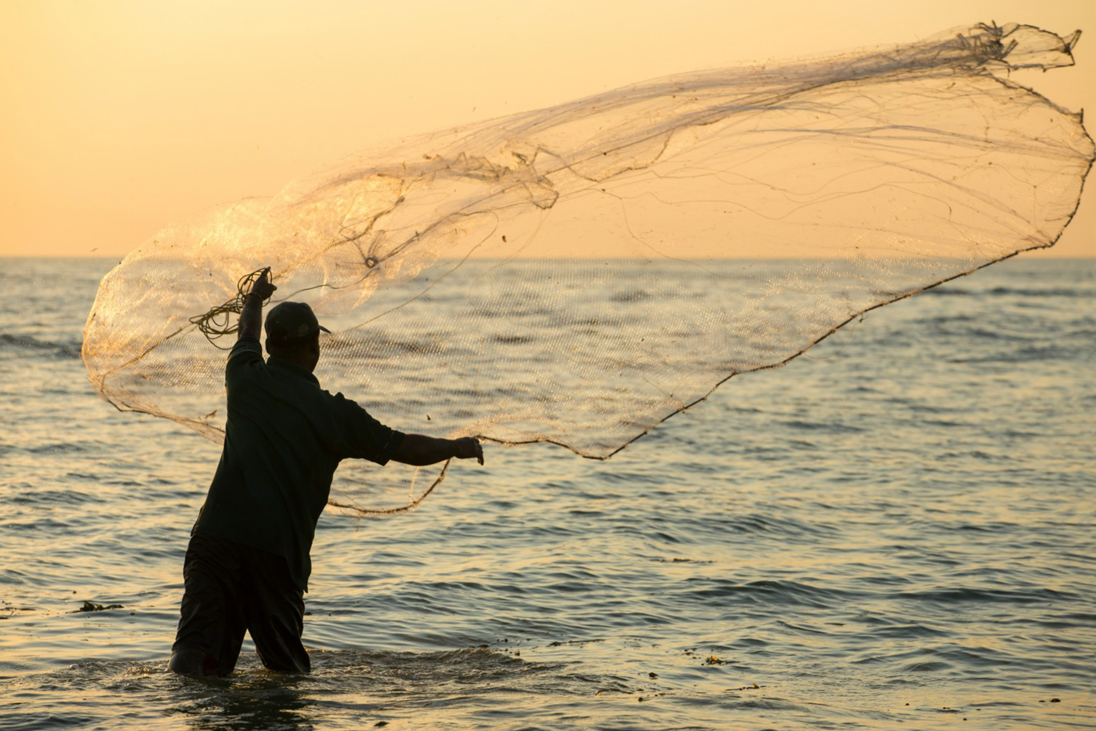 A man hunting fishes in river