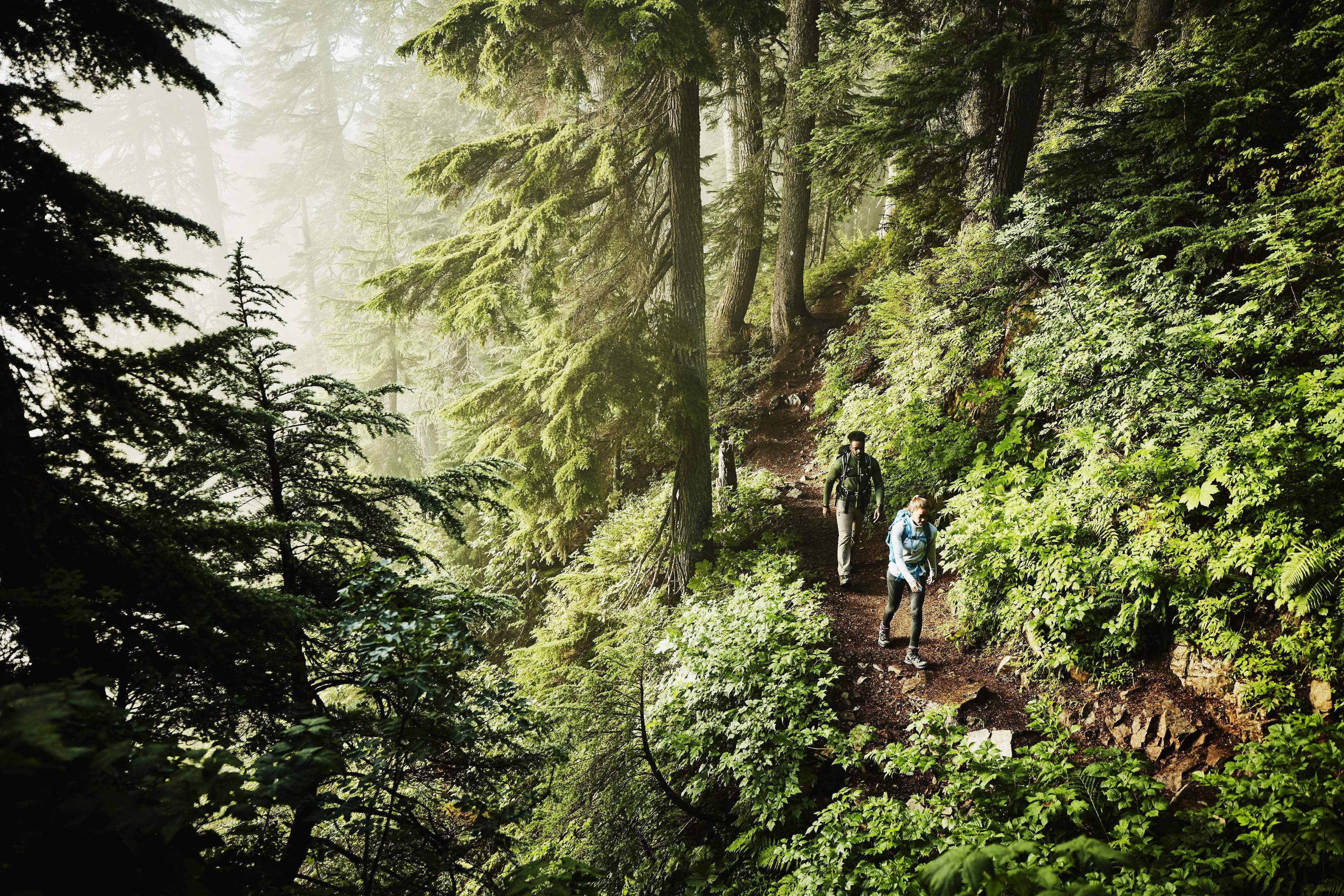 Man daughter hiking in woods