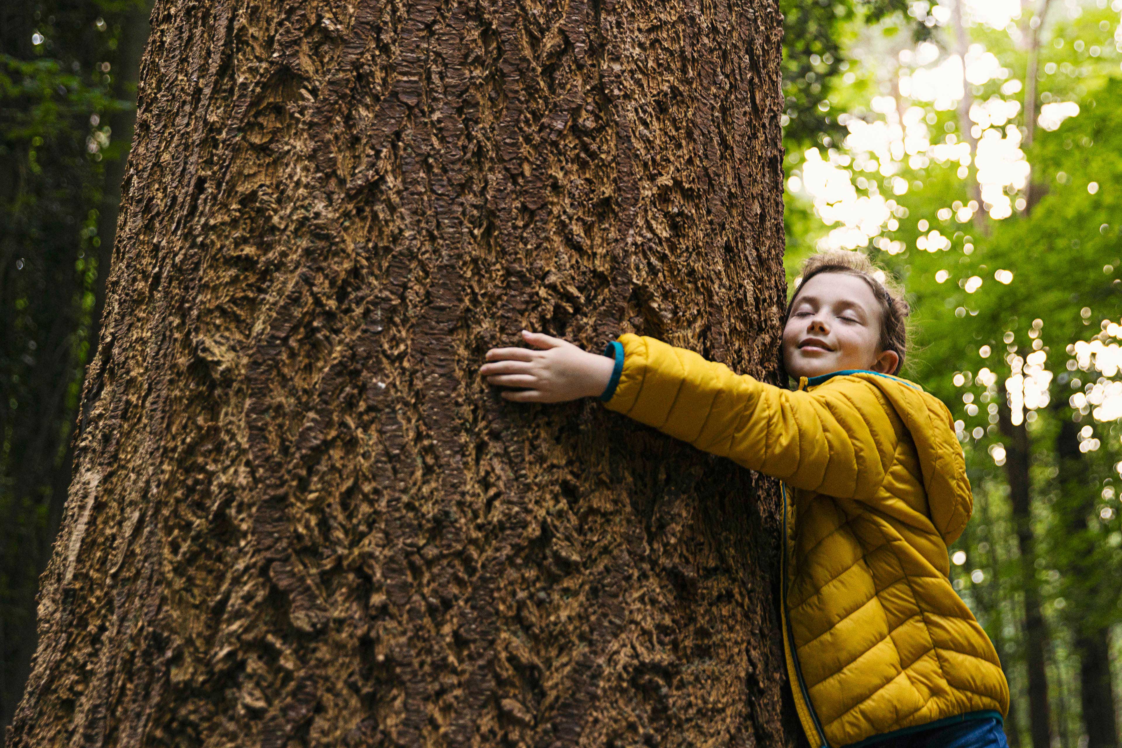 young girl hugging a big tree trunk