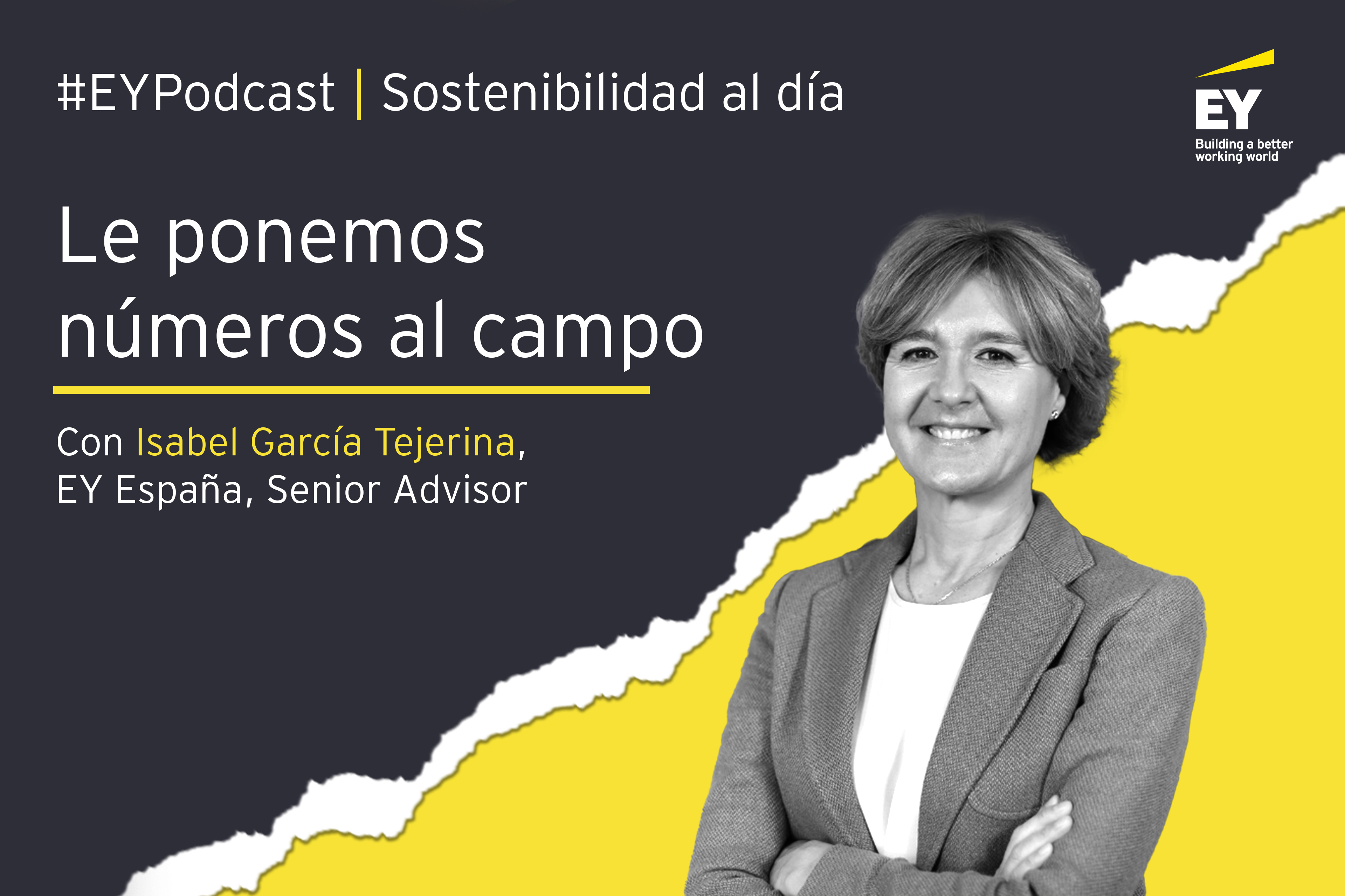 Podcast sostenibilidad Isabel tejerina