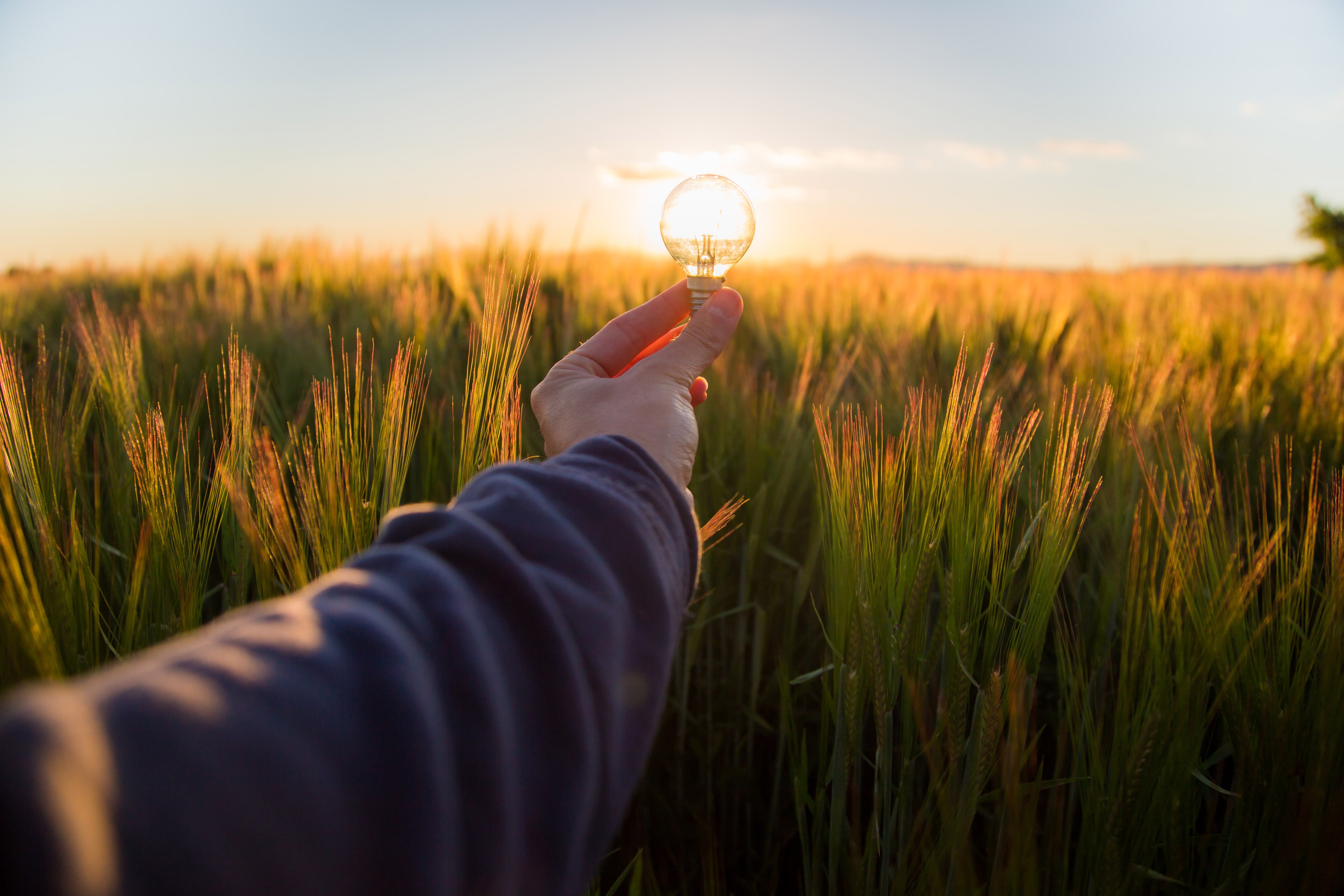 Person looking sun through magnifying glass