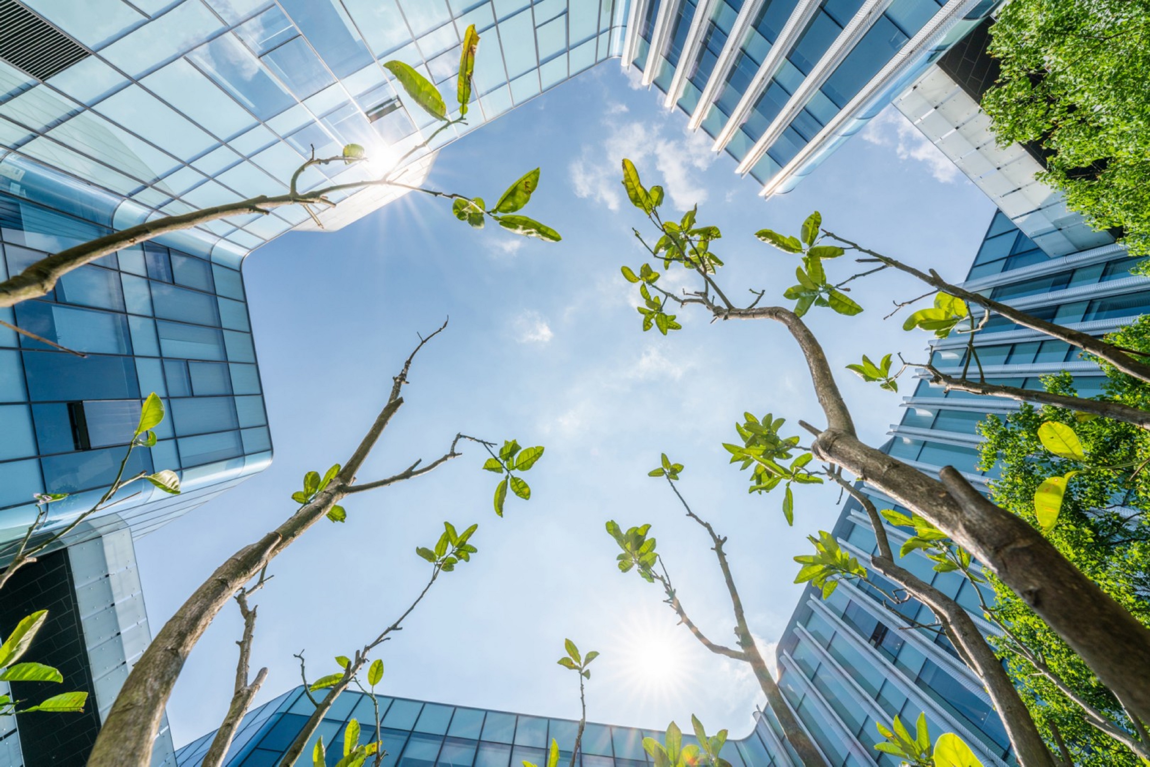 Une vue des bâtiments en verre avec des arbres verts.