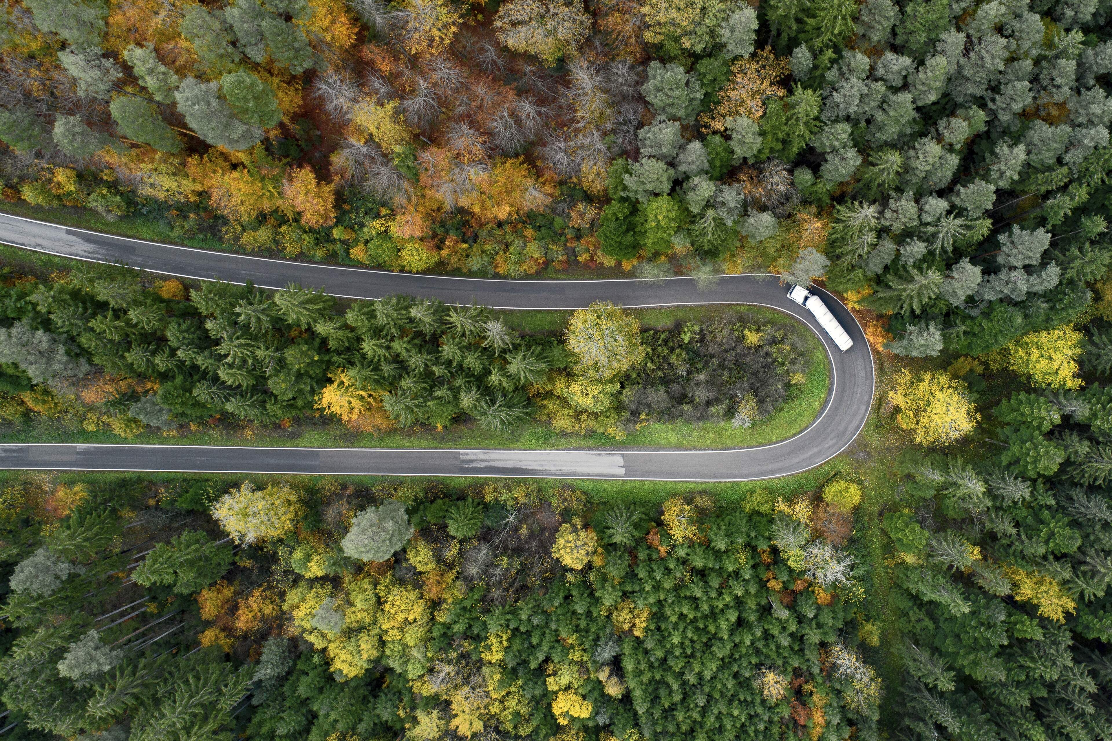 Un camion voyageant sur la route dans une forêt.