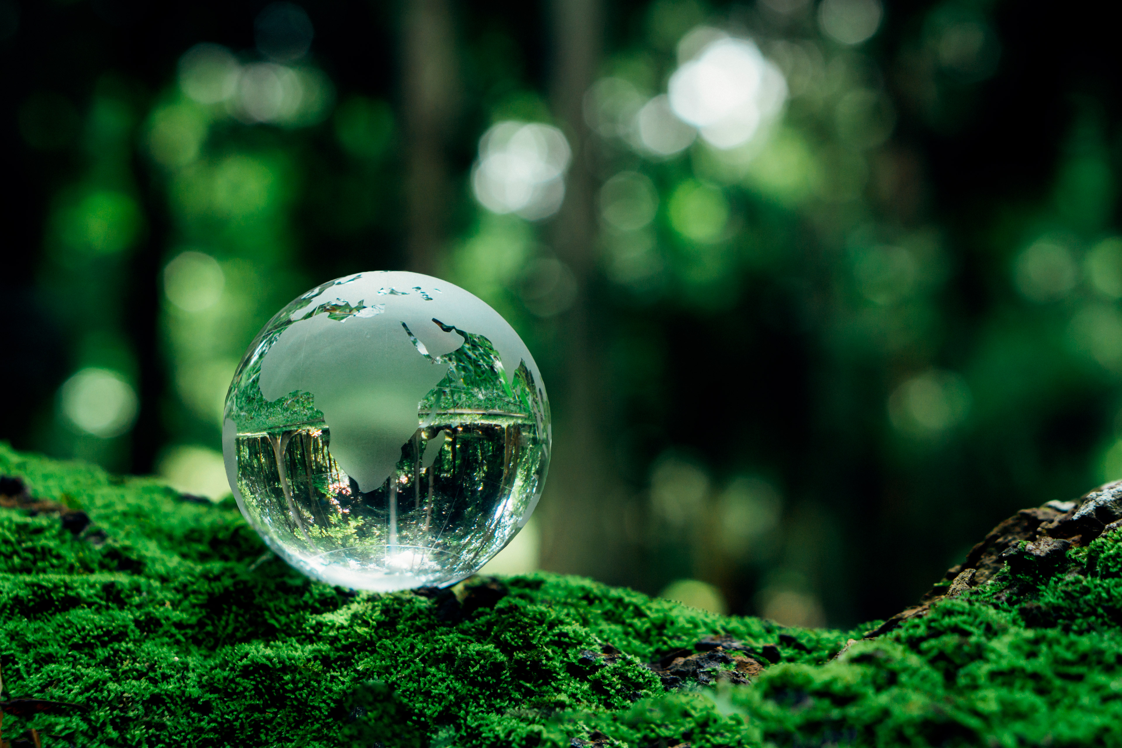 Sphère en cristal reflétant la forêt sur mousse.