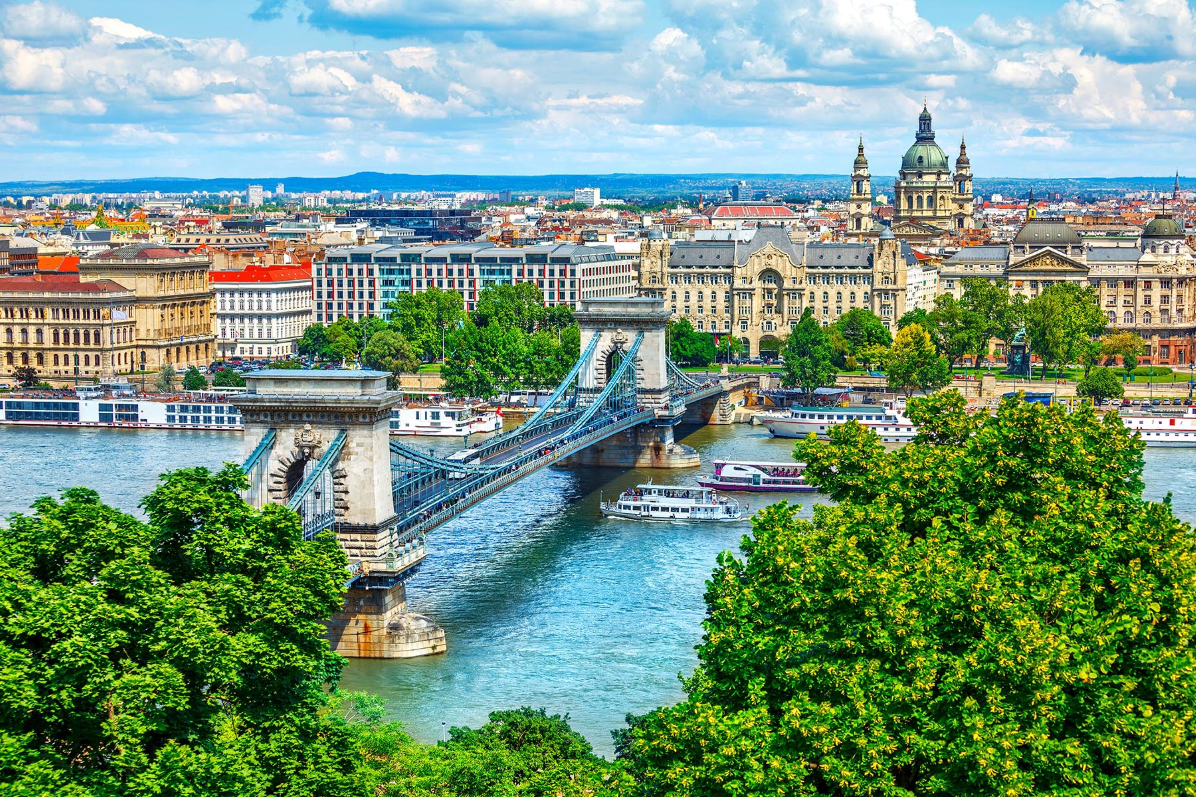 Bridge and nature with clear sky background