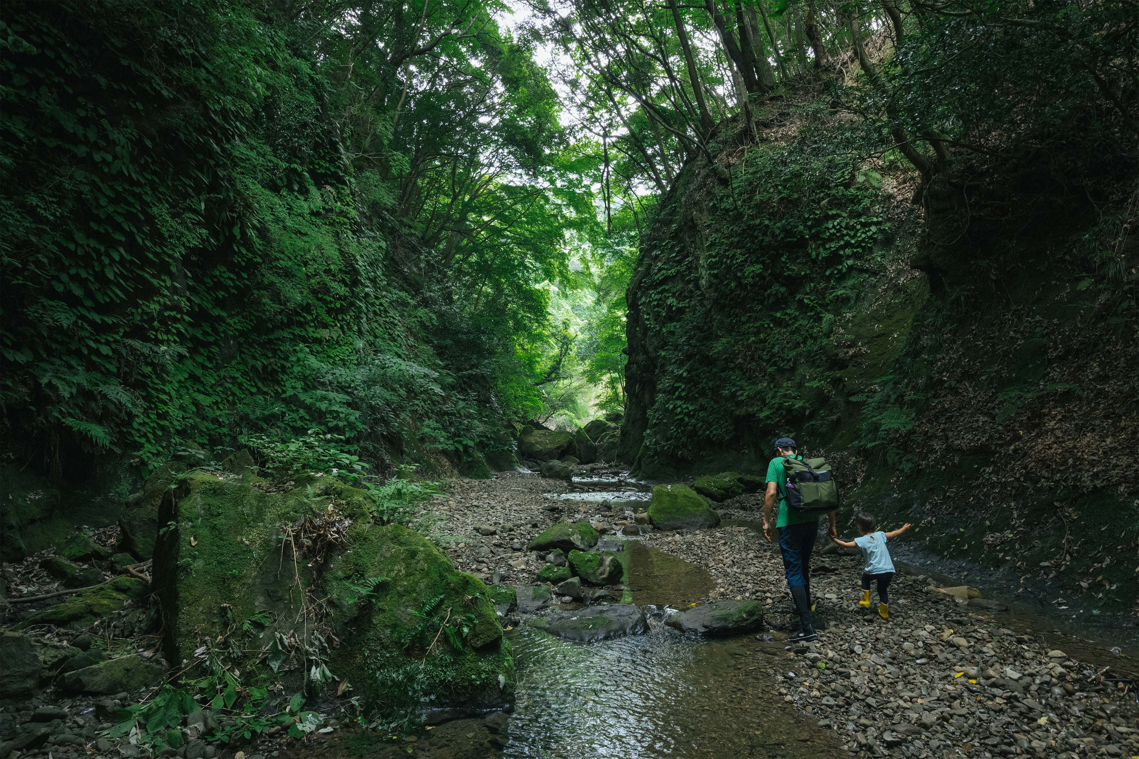 EY Japan、JICAの熊本県の復興・地域創生プロジェクトを受注