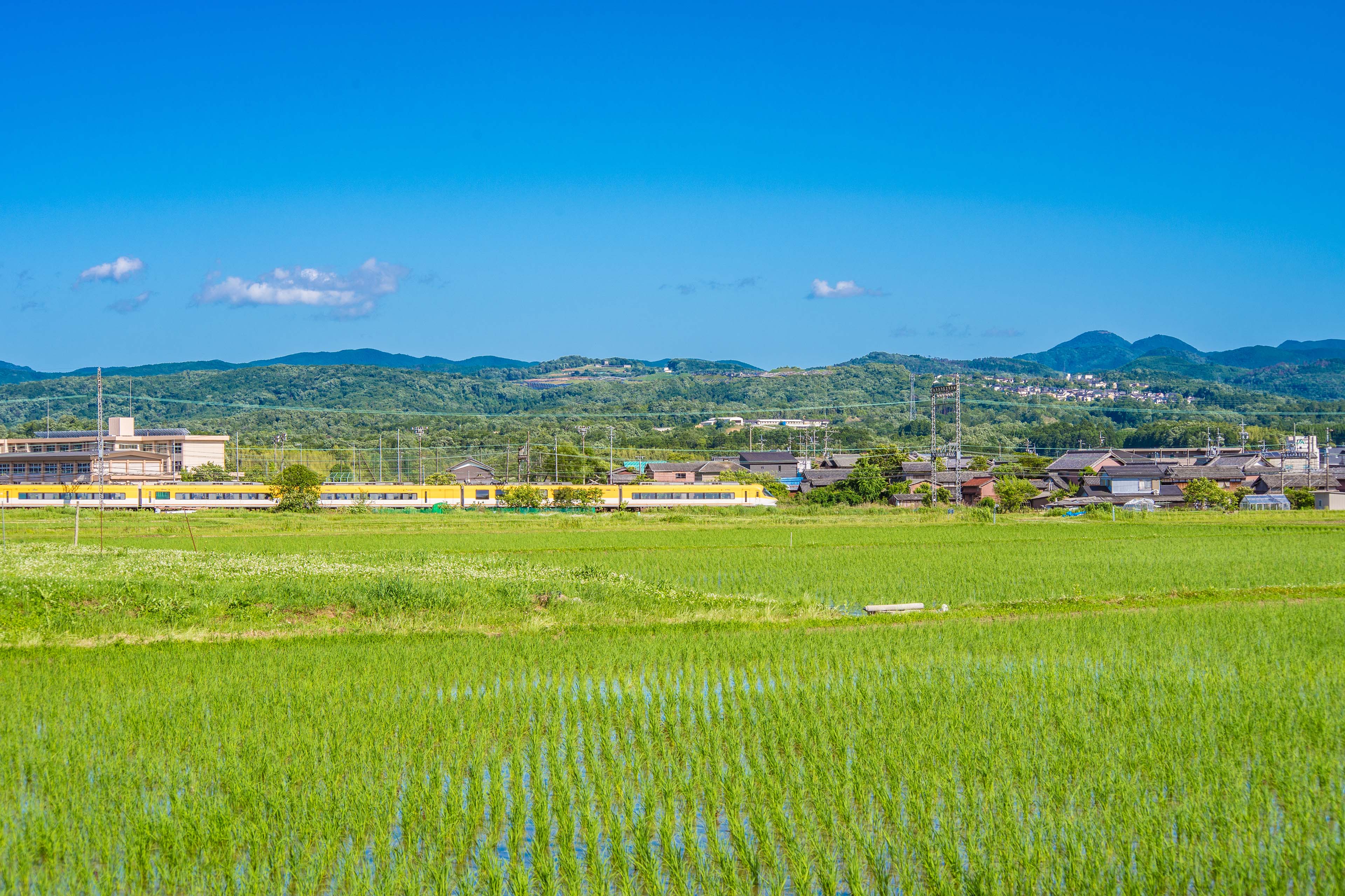 EY Japan、三重県多気町の公共交通計画の策定を支援