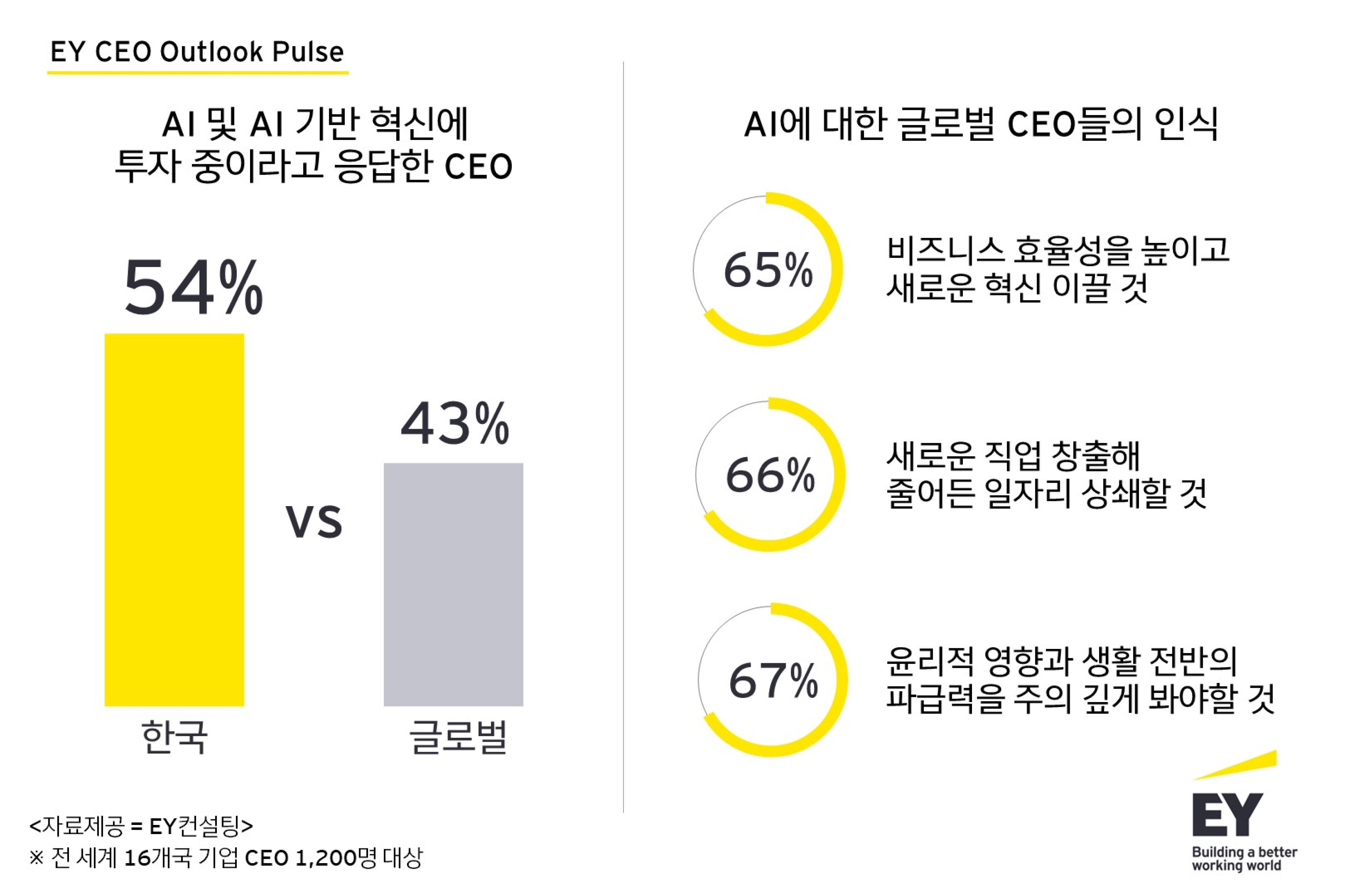 한국 CEO, AI 투자에 글로벌 CEO보다 적극적