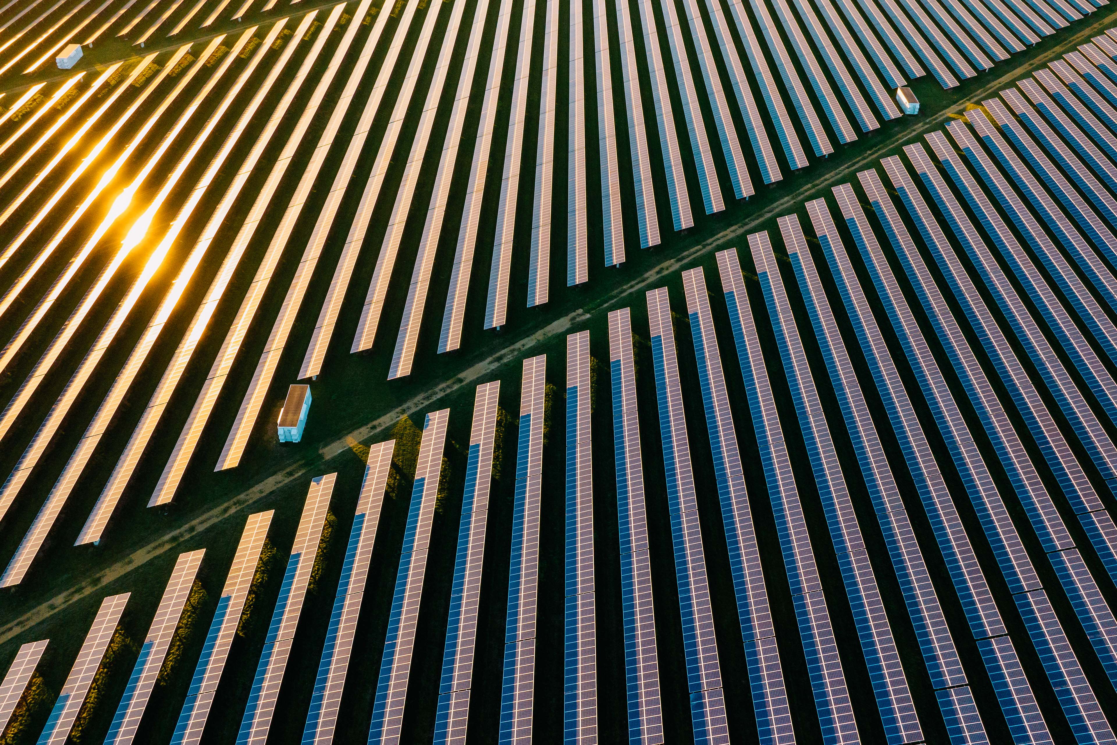 Solar panels in a field at sunset