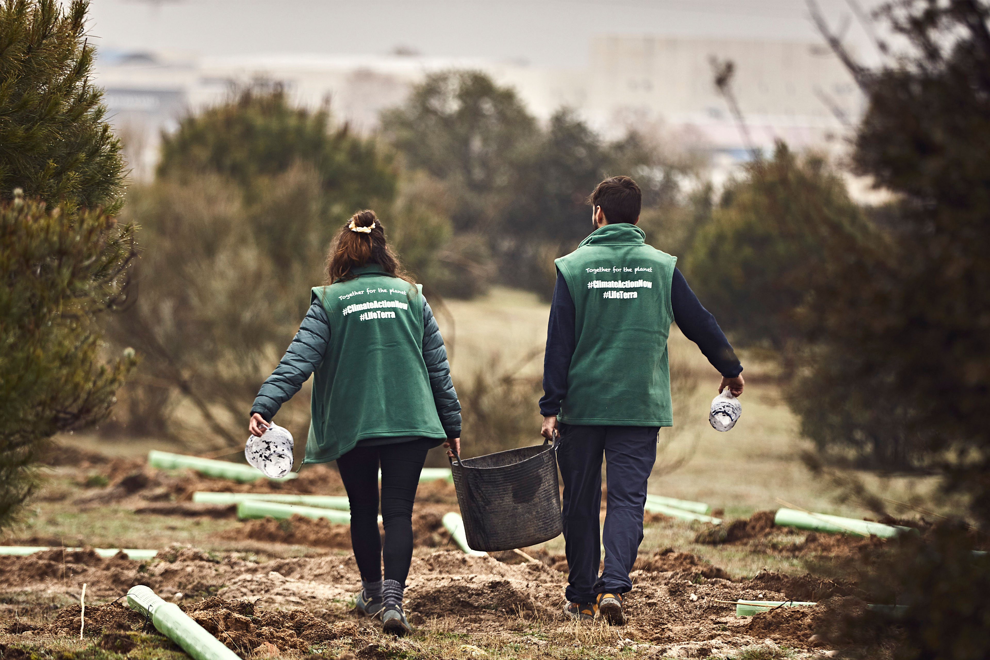 Hoe Life Terra en EY samenwerken aan natuurherstel