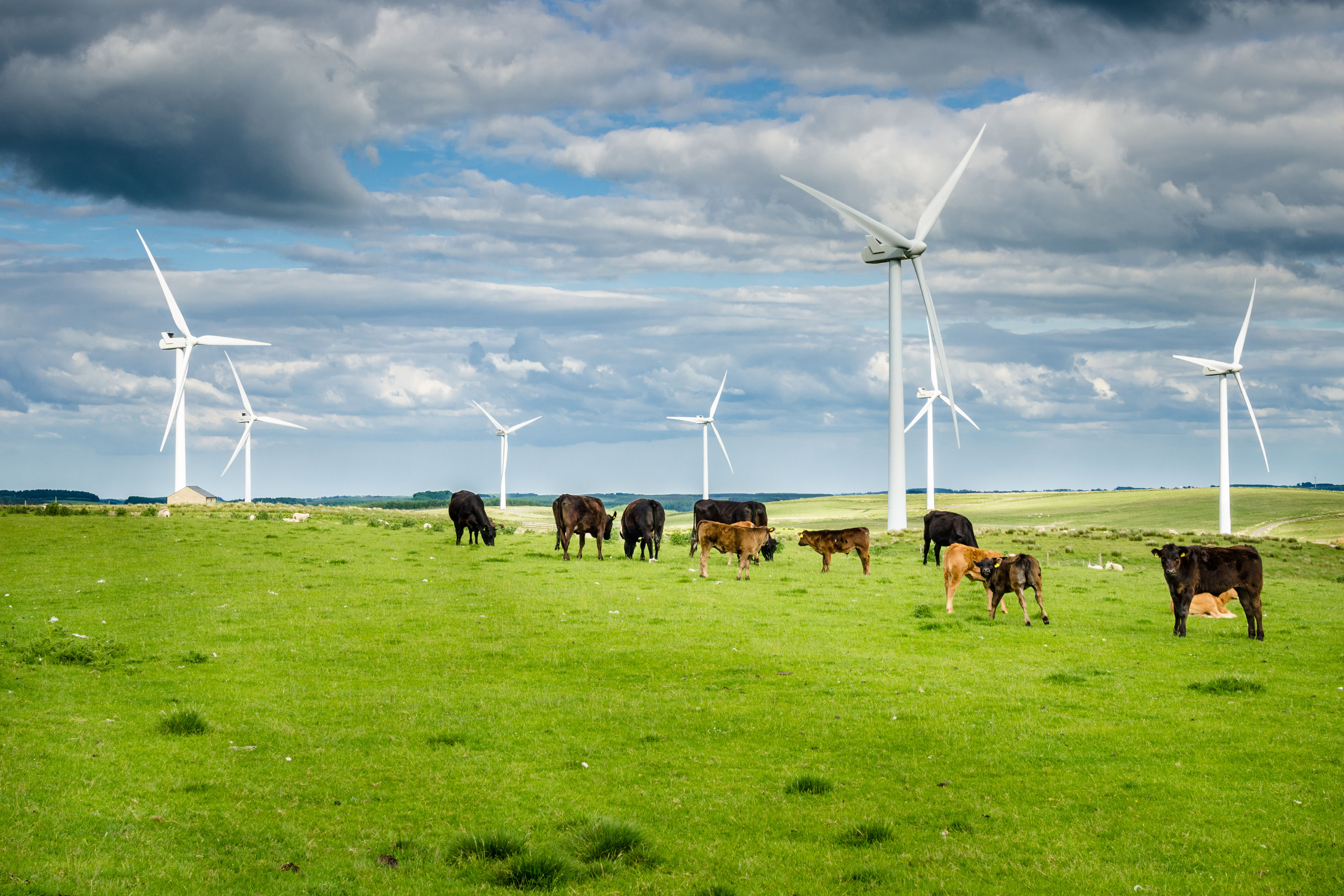 Waarom de inzet van duurzame energie urgenter is dan ooit