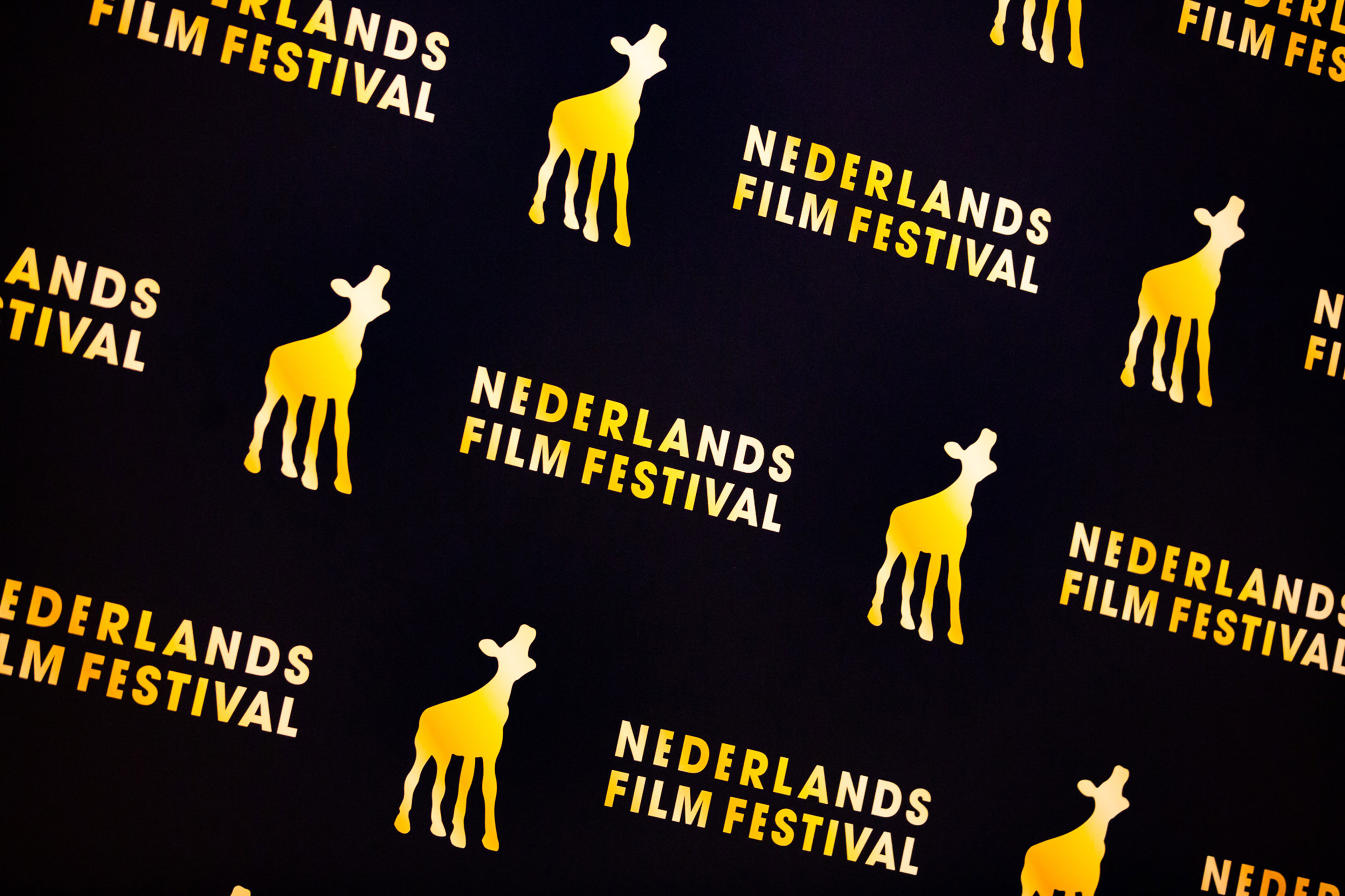 Nederlands Film Festival logo - het Gouden Kalveren